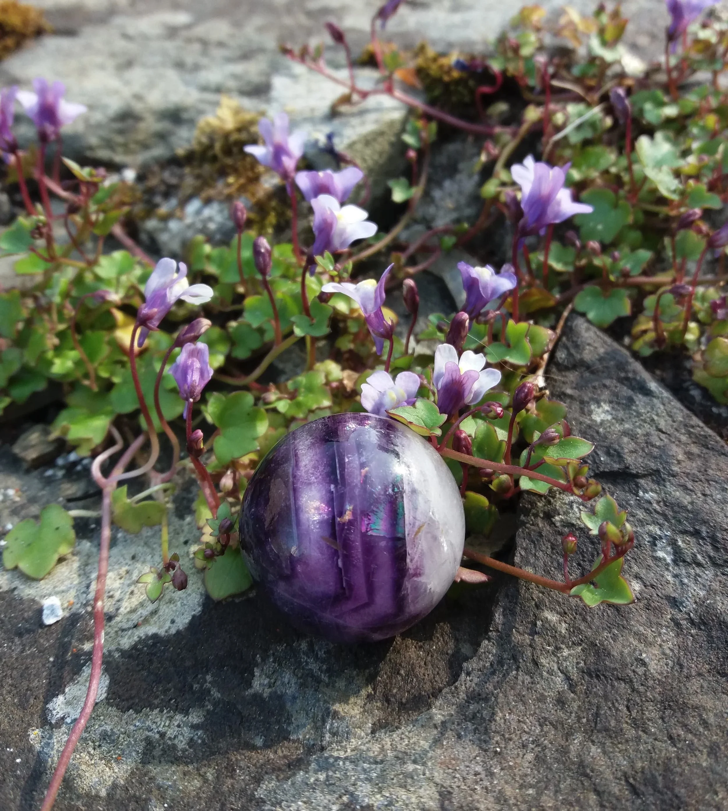 Purple Fluorite sphere.jpg