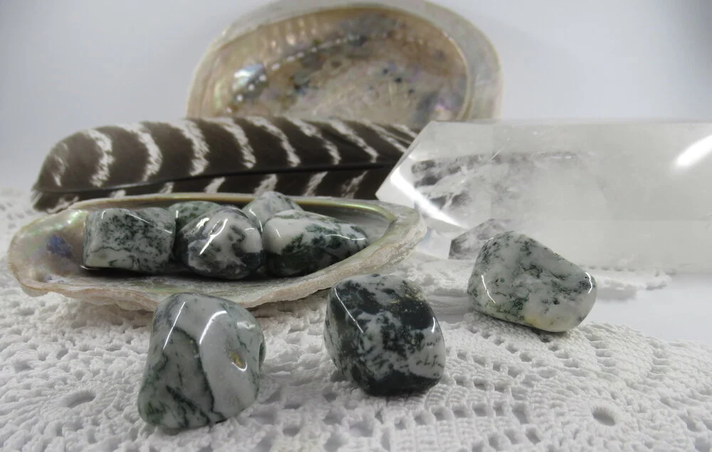 Webshop_Tumblestones_Tree Agate1.JPG
