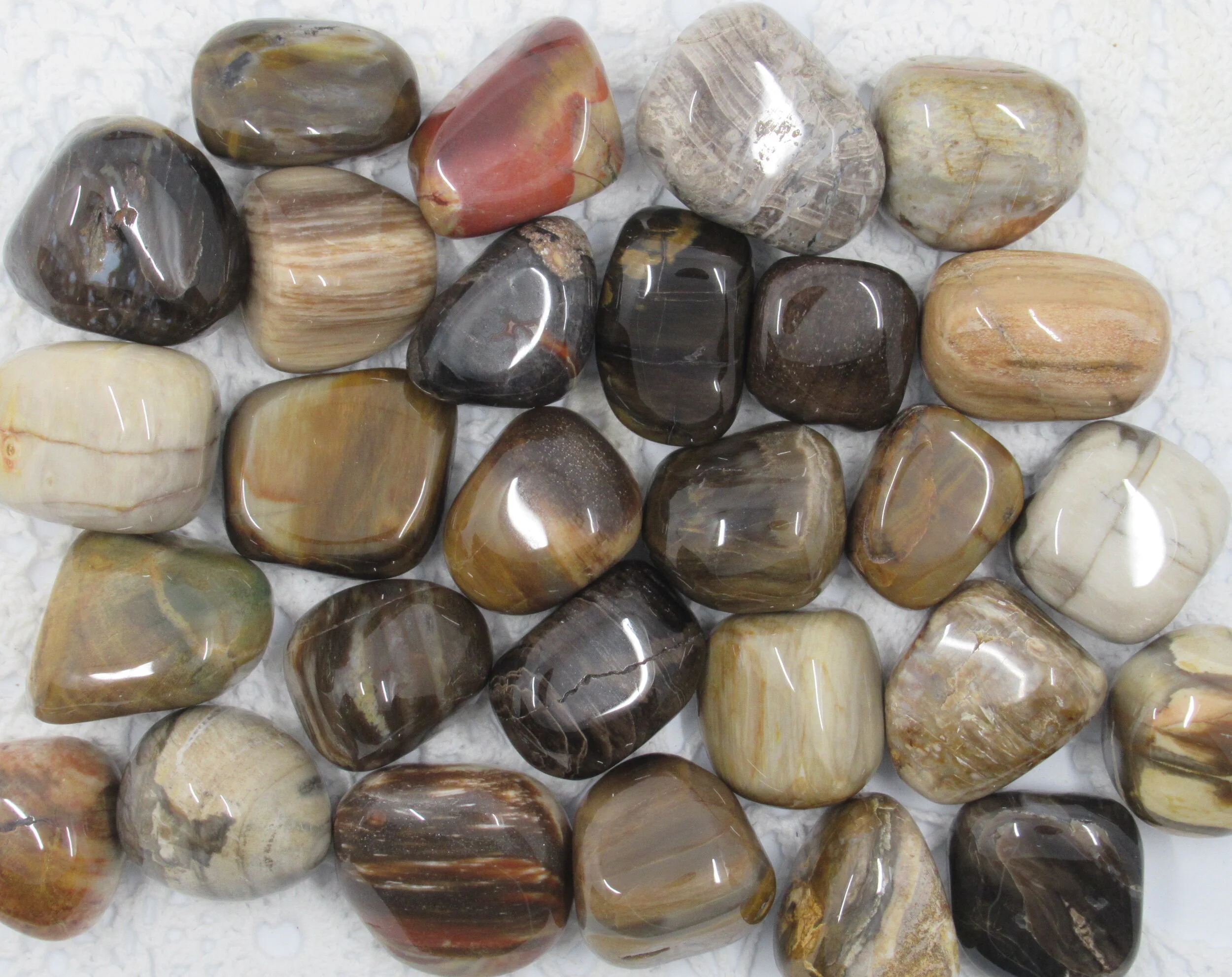 Webshop_Tumblestones_Petrified Wood1.JPG