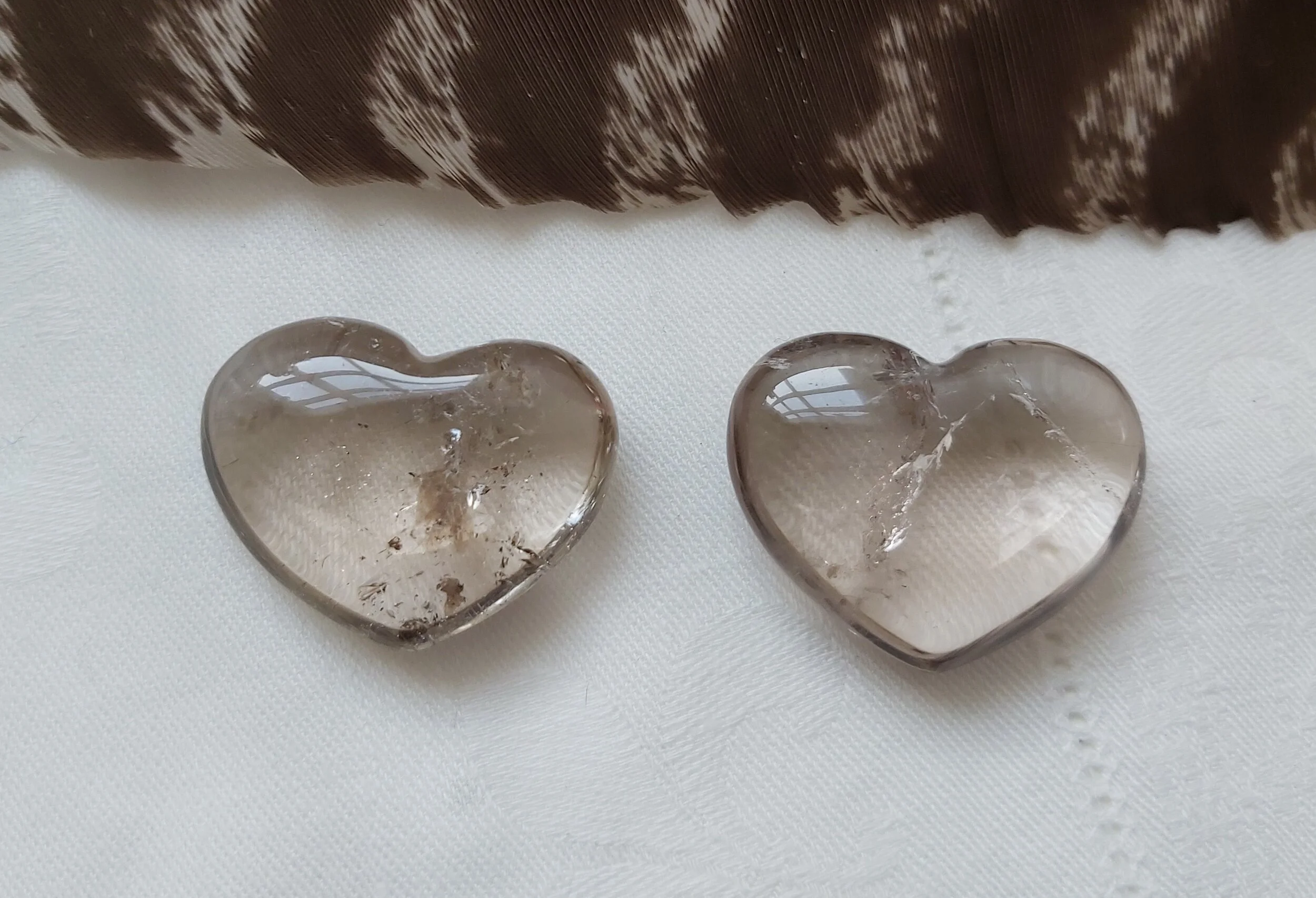 20191109_134711.jpg