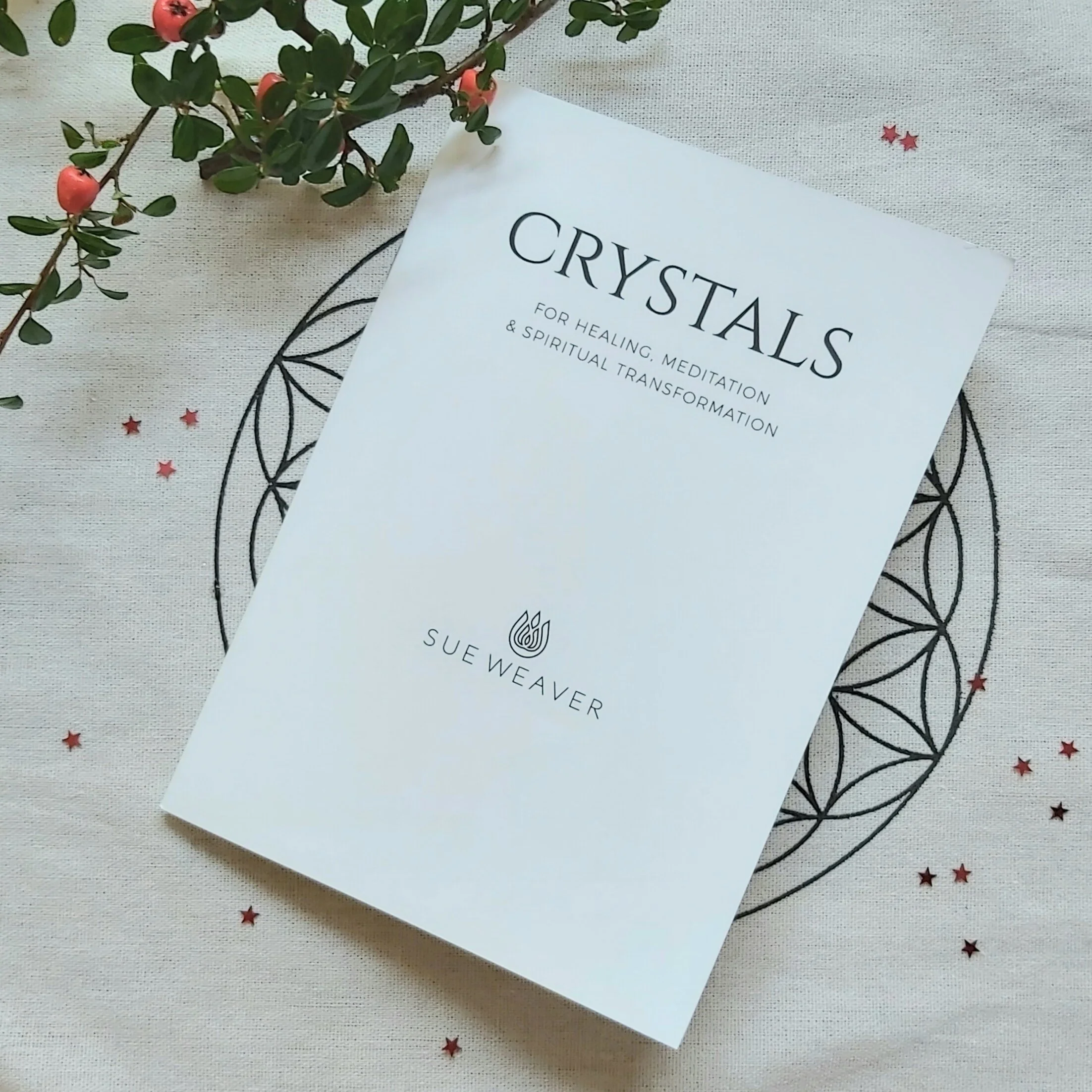 20191211_130140 copy.jpeg