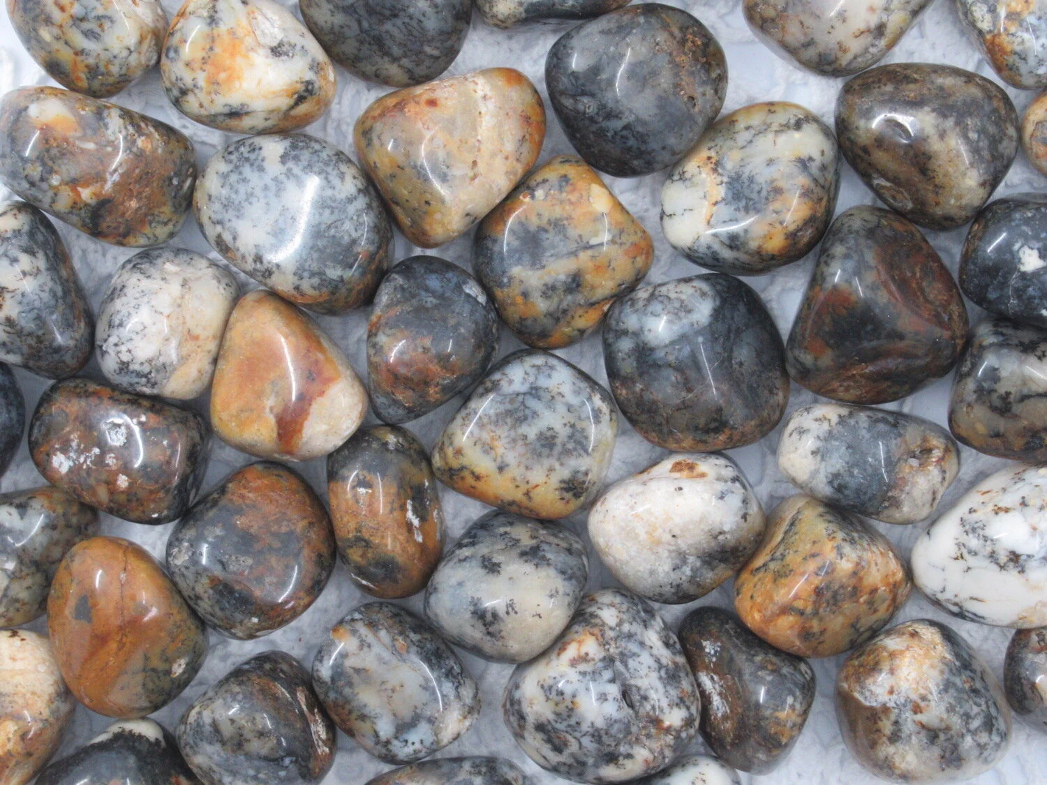 Webshop_Tumblestones_GoldenMerlinite1.JPG