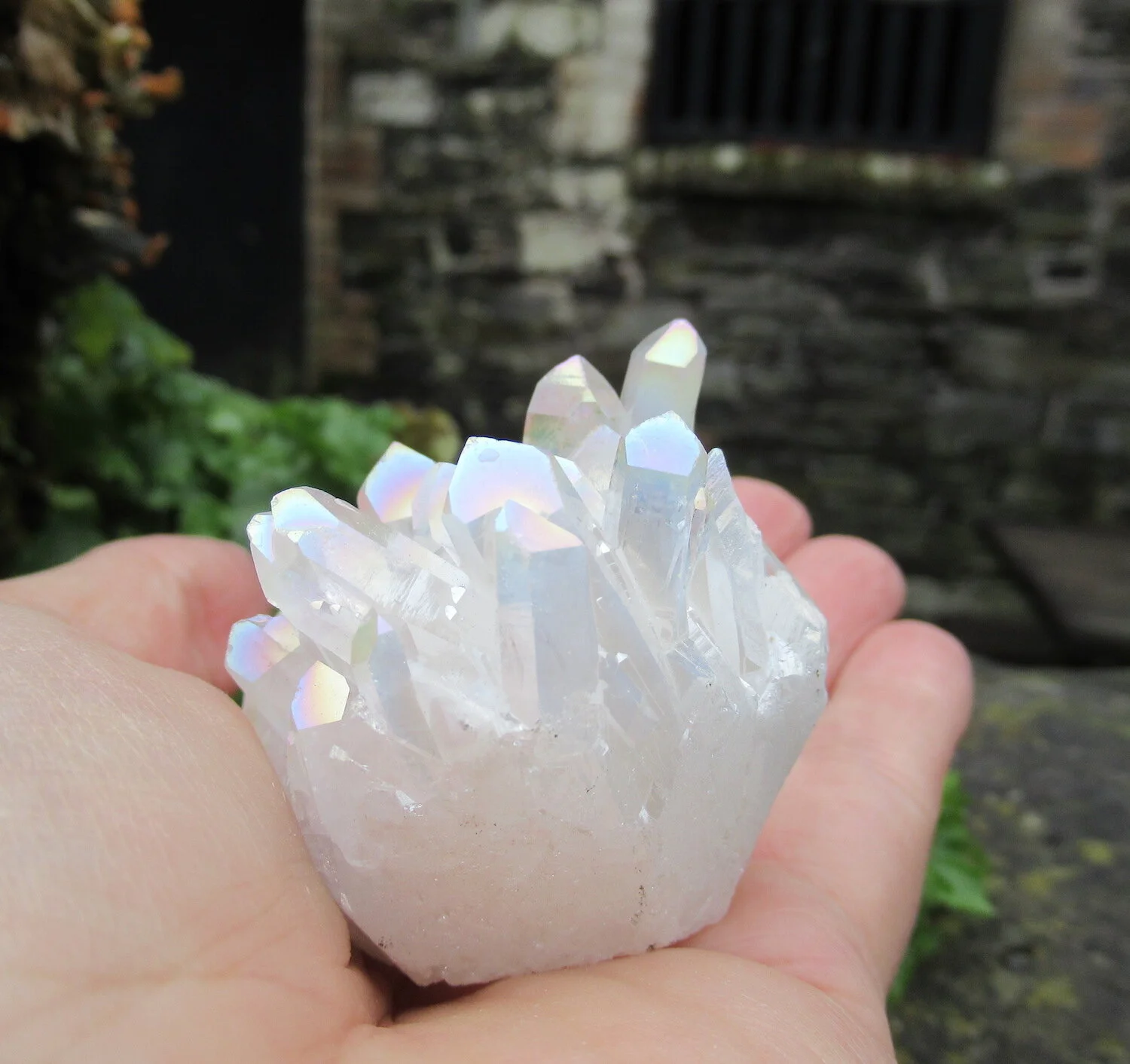 Webshop_Header_Angel Aura Cluster.jpeg