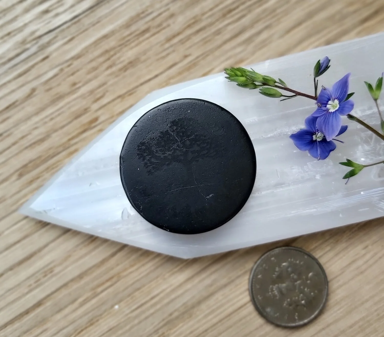 Webshop_Phone Protector_Shungite Tree of Life1.jpg