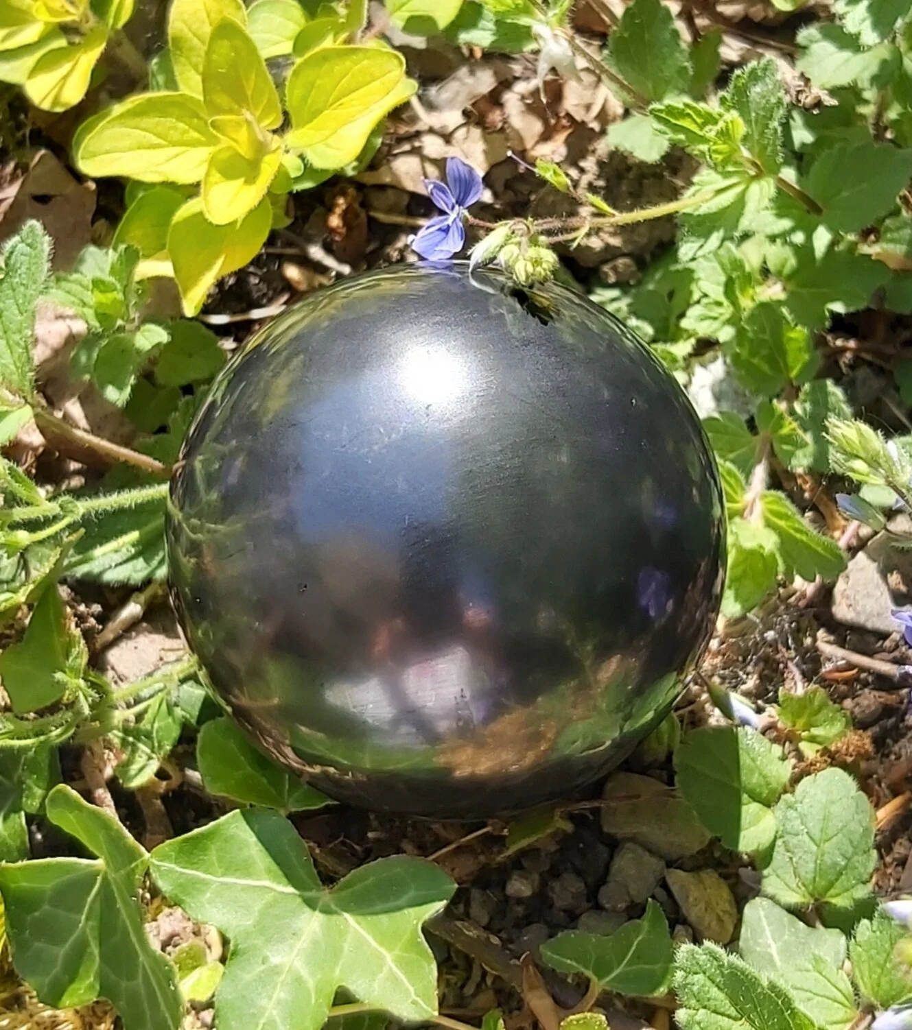 Webshop_Spheres_Shungite2.jpg
