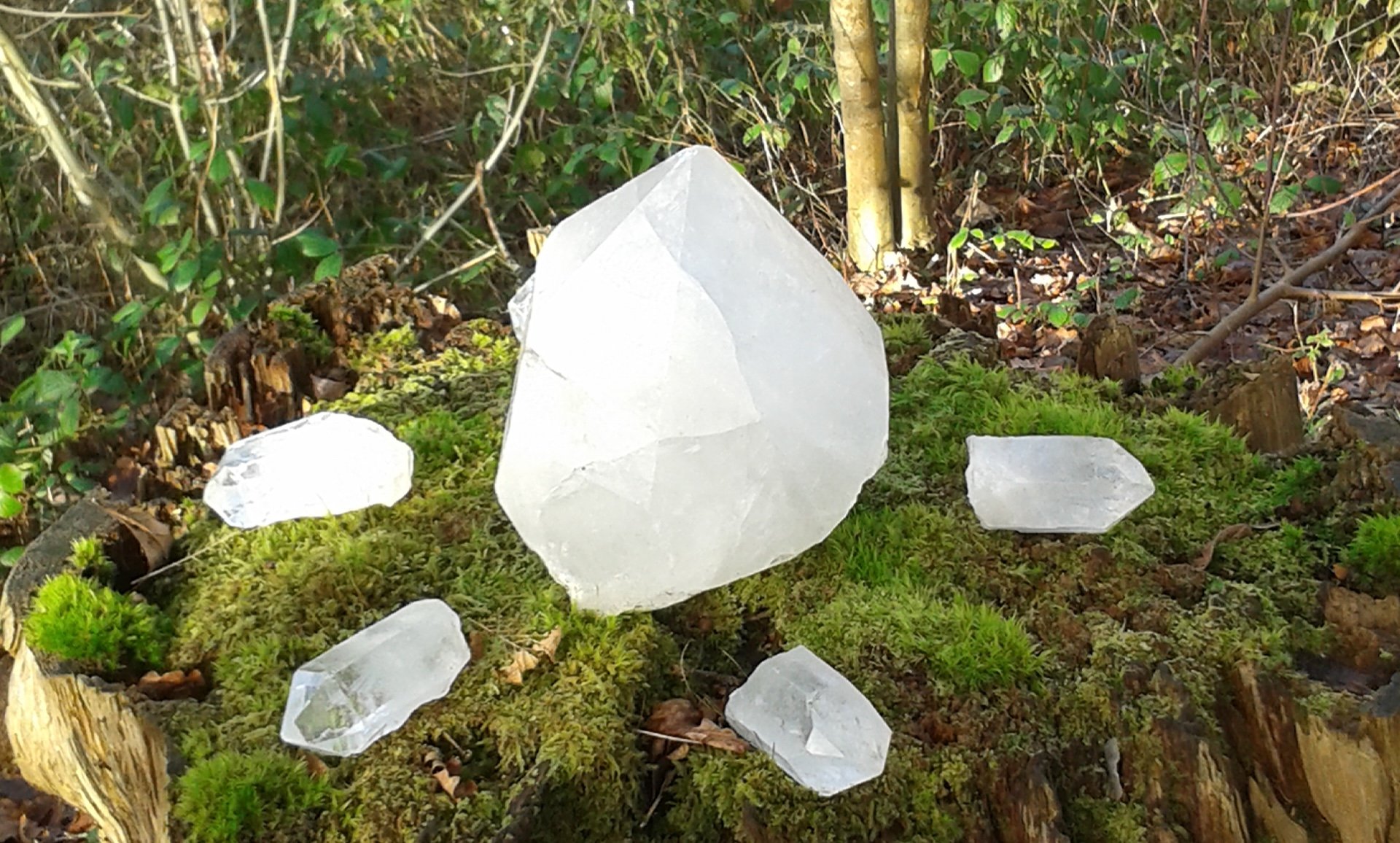 Quartz Crystals in woods copy.jpg