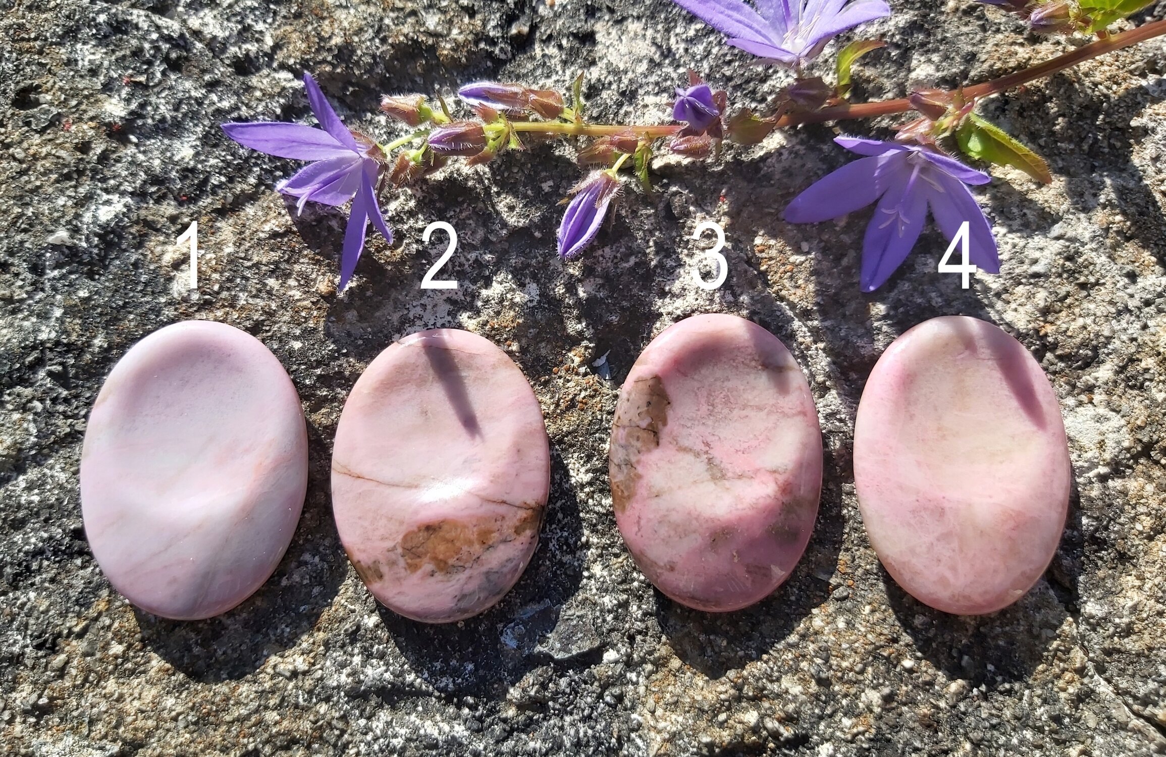 Webshop_Thumbstones_Rhodonite5 with numbers.jpg