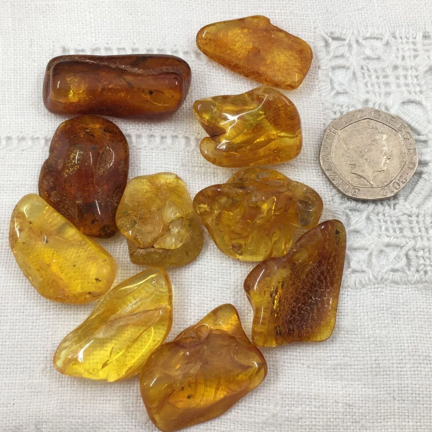 Amber 4.JPG