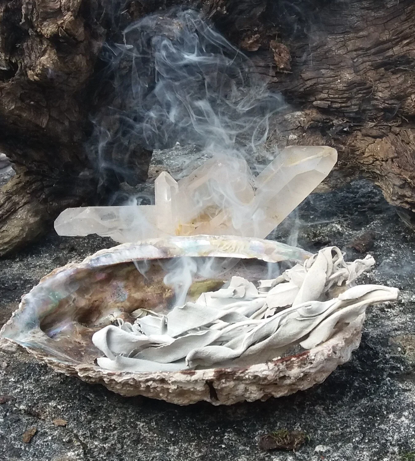 Blog 2-2019 Feb-White sage burning crop.jpg