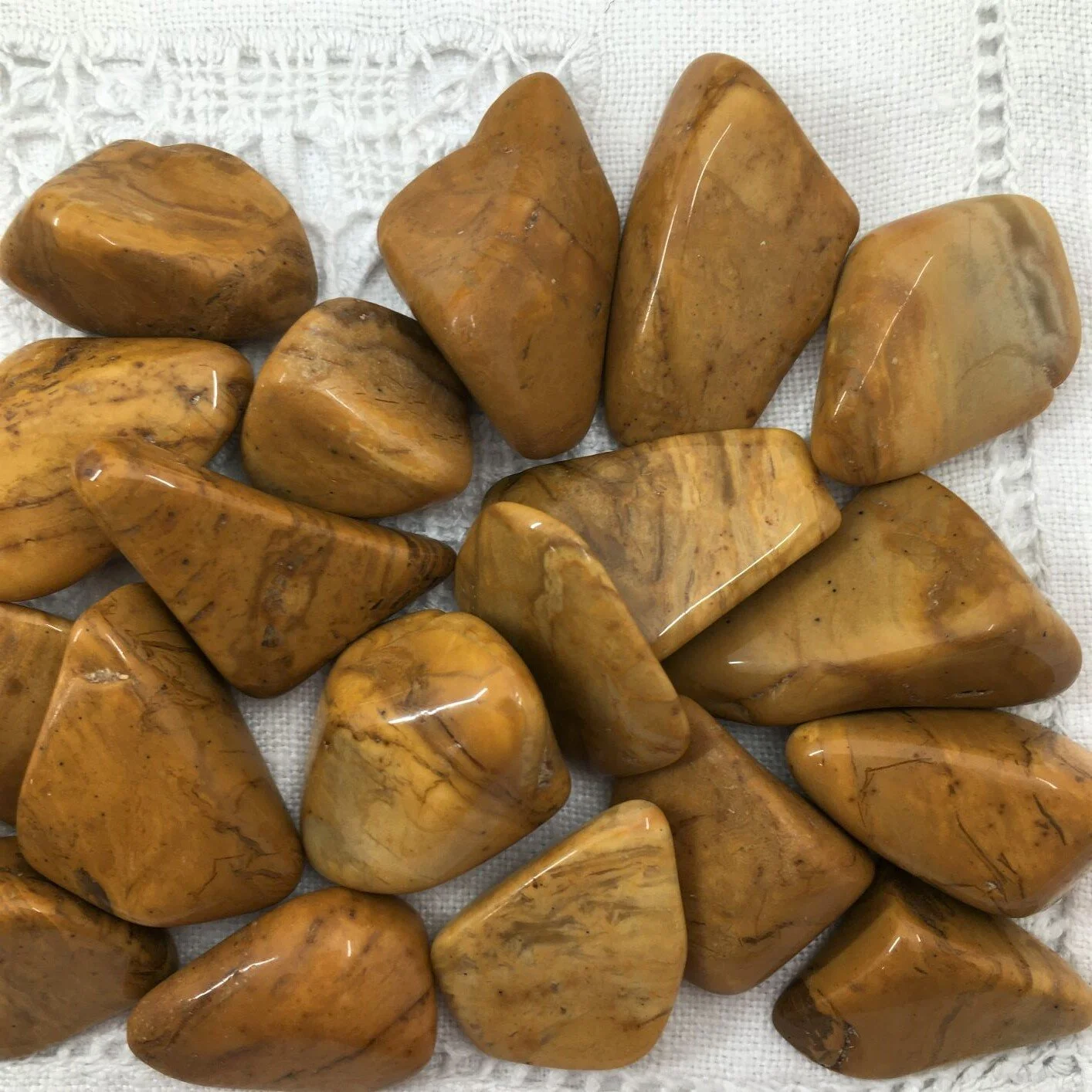 Jasper Yellow 3.JPG
