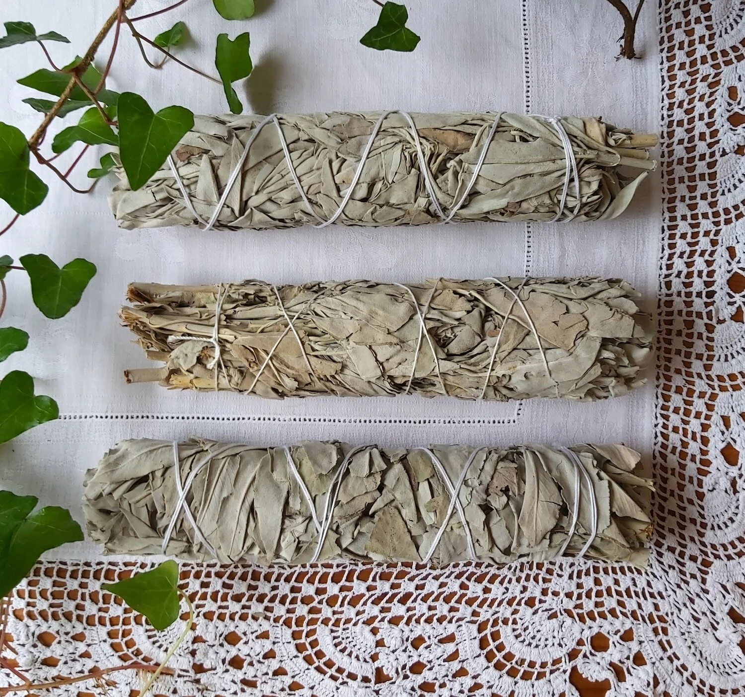 Webshop_Sage Bundle_large x 3.jpg