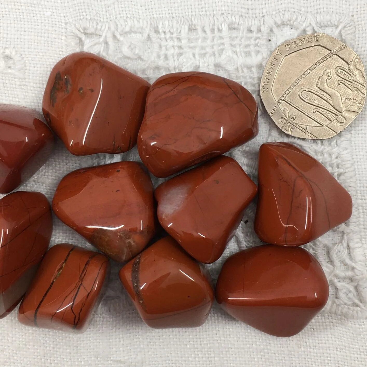 jasper red 4.JPG