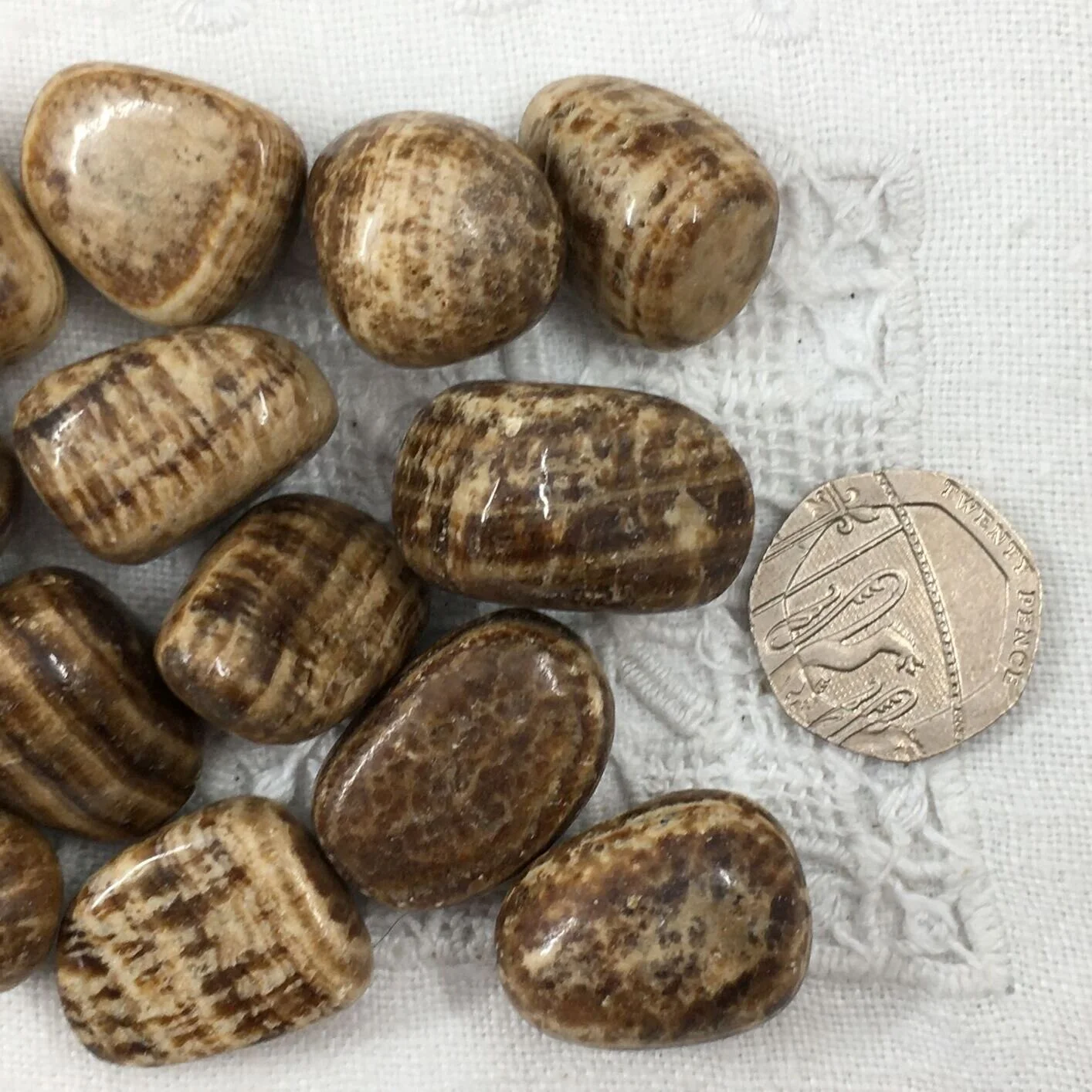 aragonite 4.JPG
