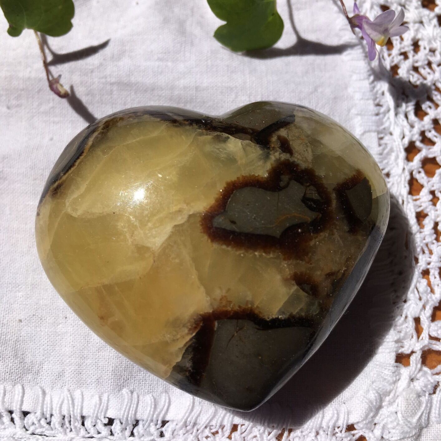 Septarian £18a 1.JPG