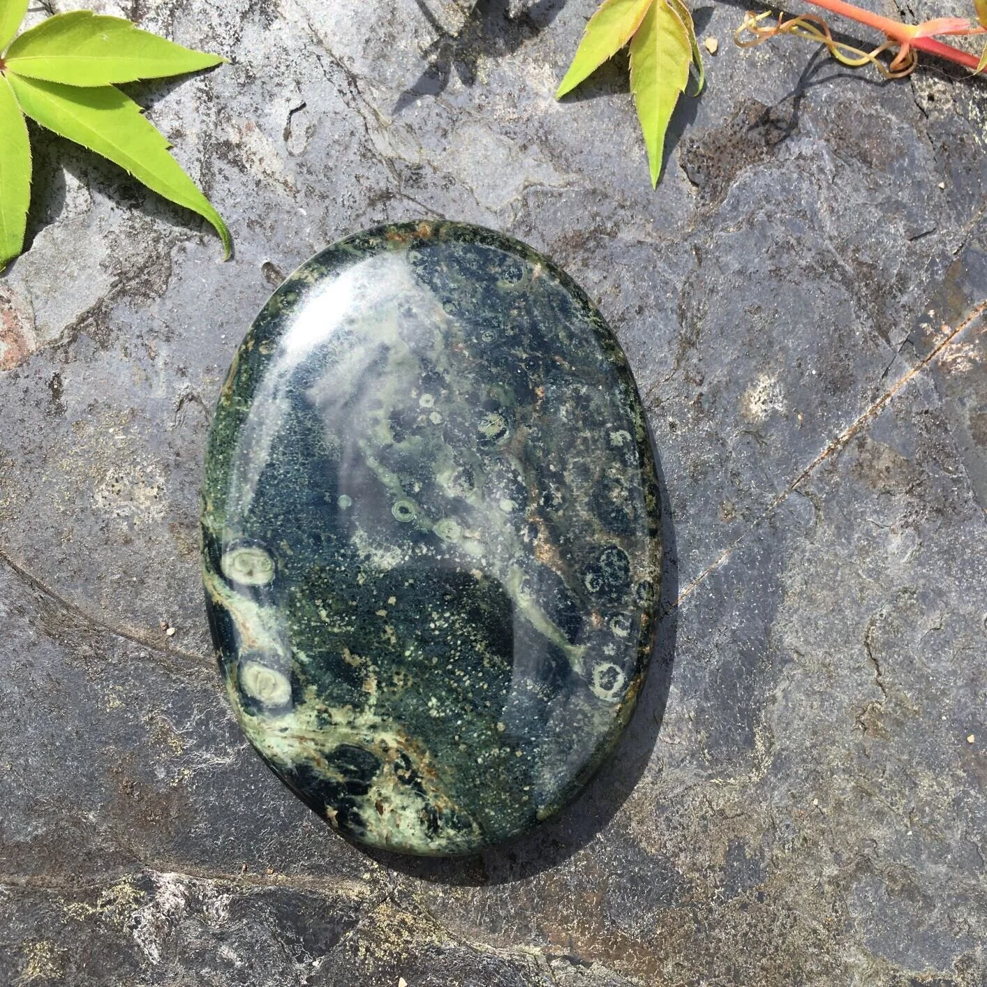 Kambaba Jasper Palmstone
