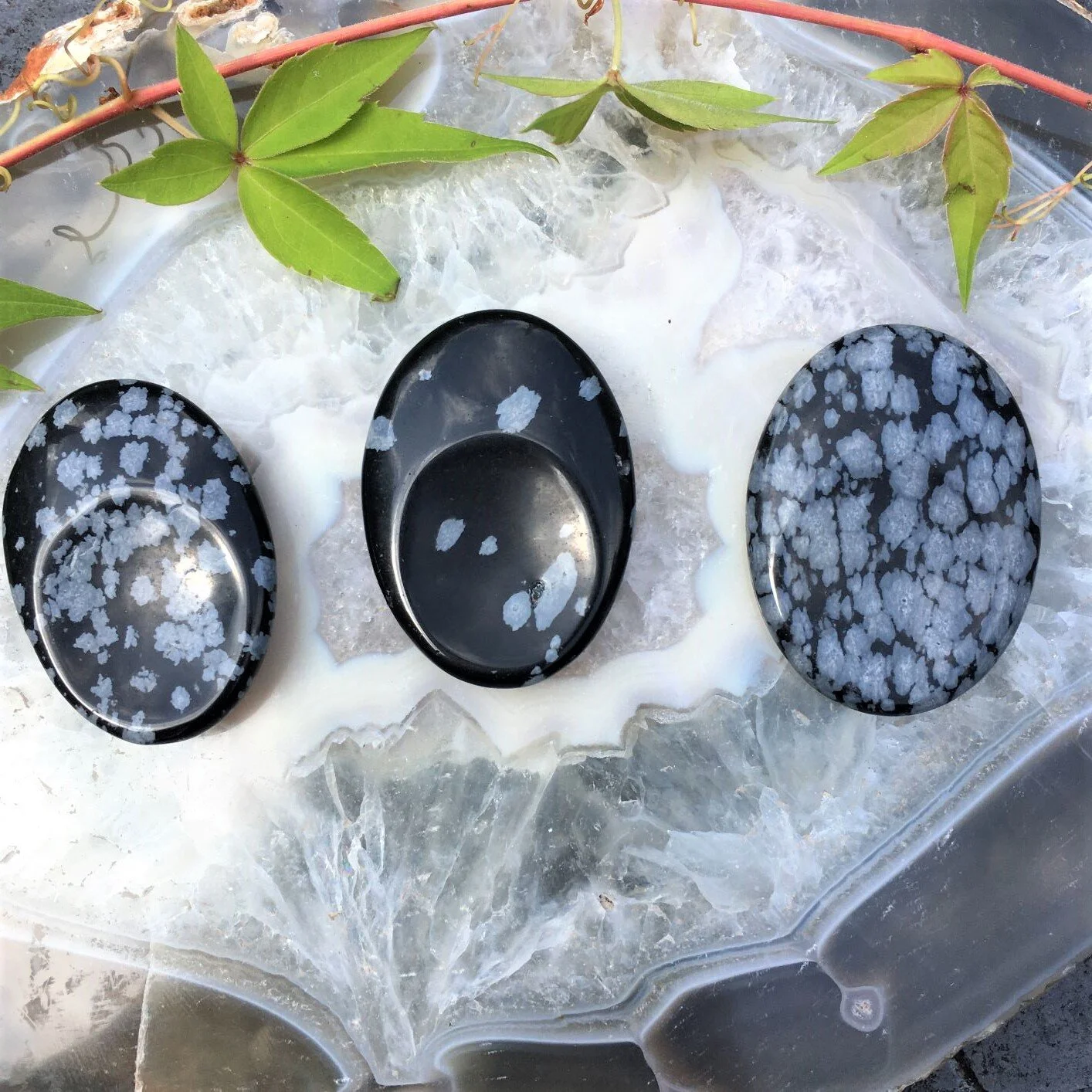 Snowflake Obsidian 1.JPG