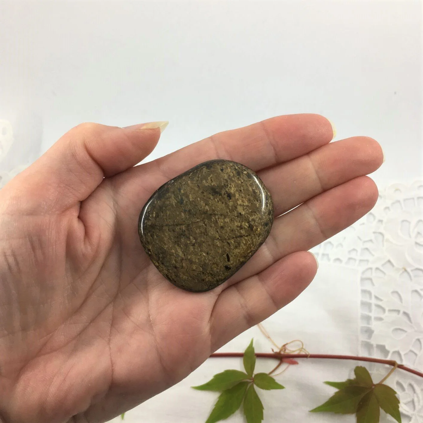 Bronzite 2.JPG