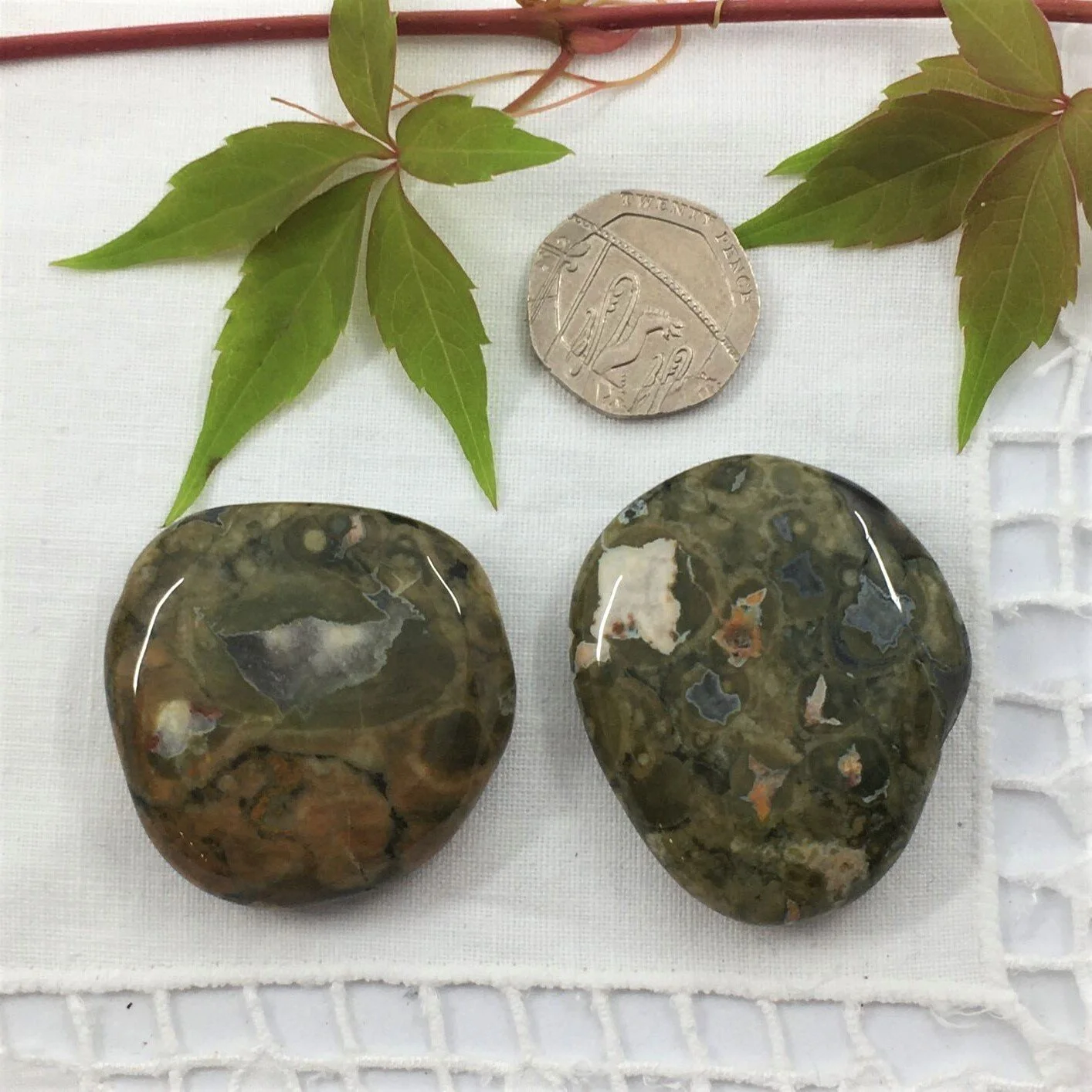 Rainforest Jasper 2.JPG