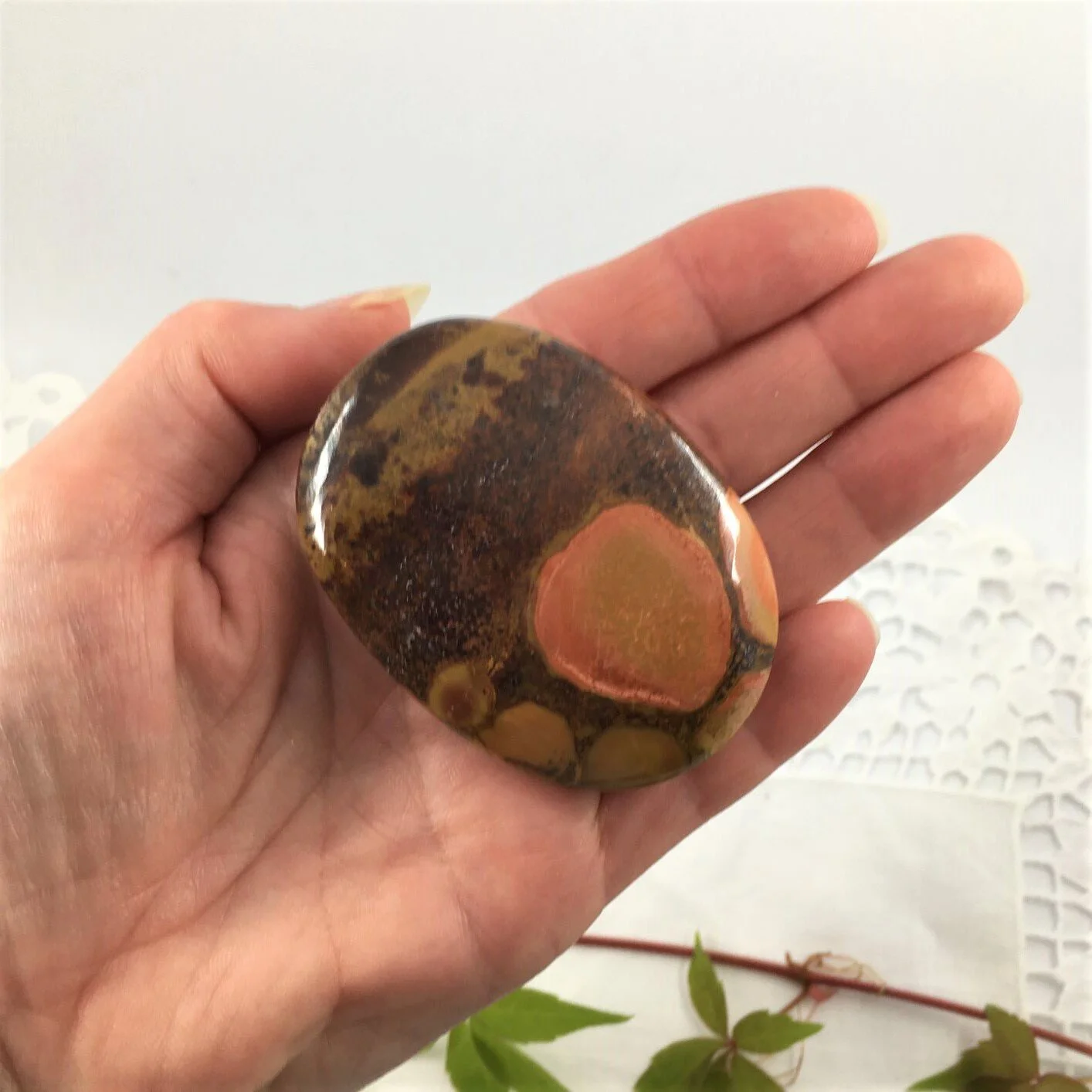 Cobra Jasper 2.JPG