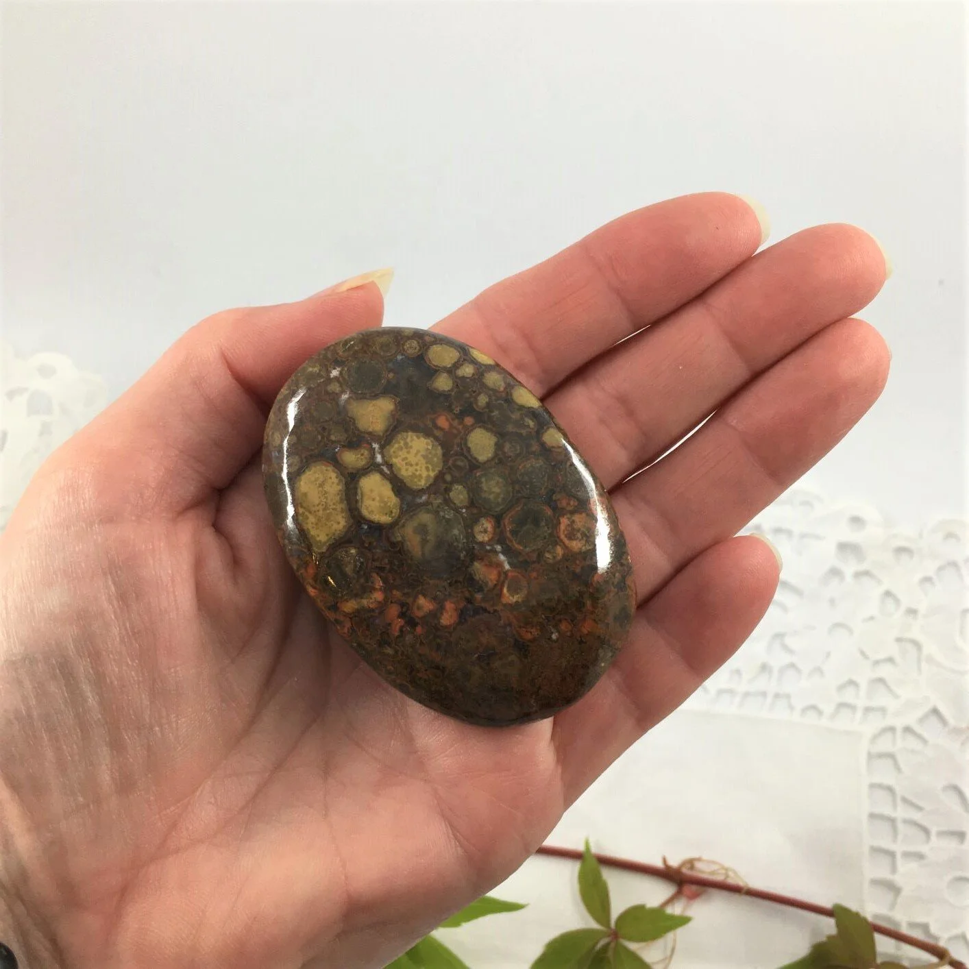 Cobra Jasper 3.JPG