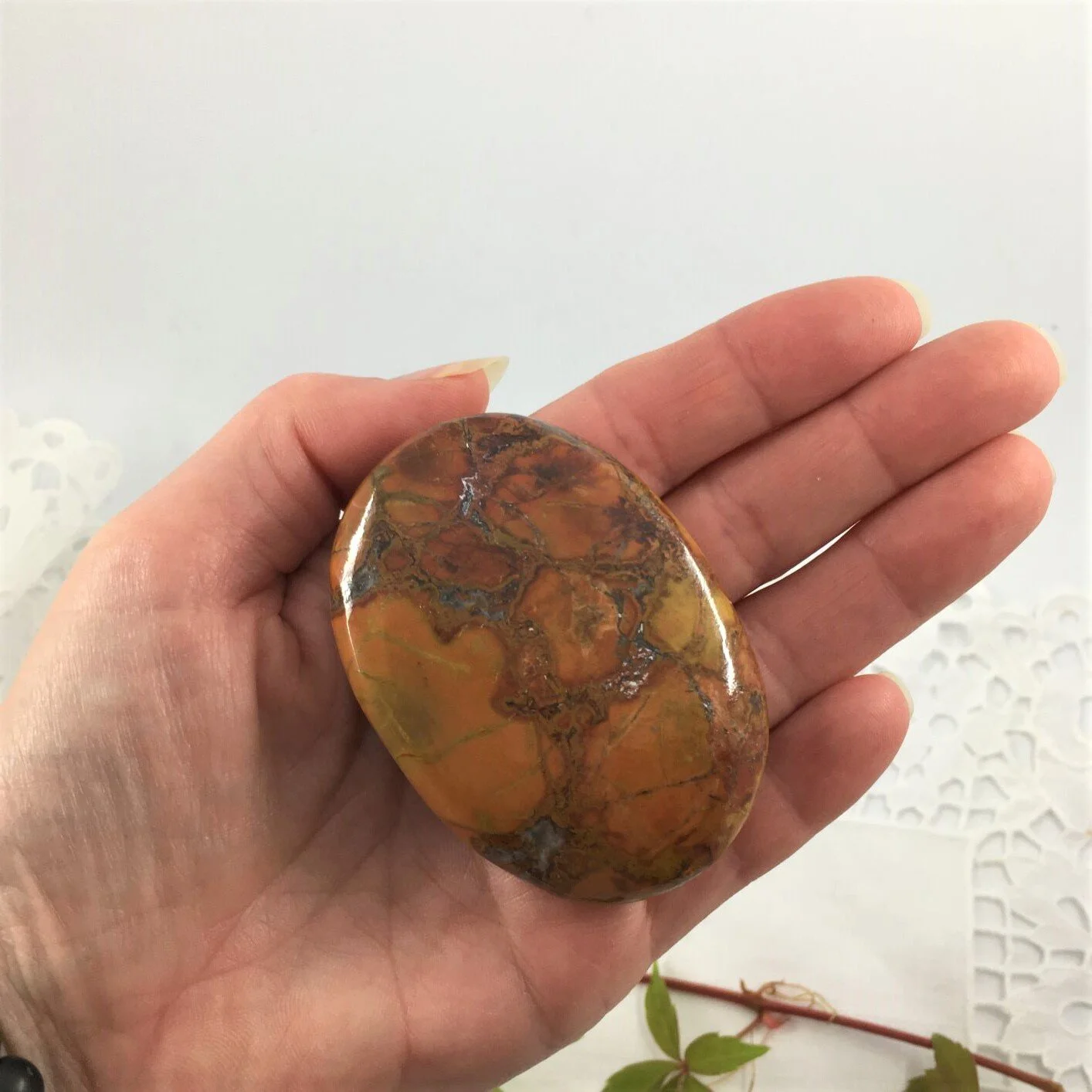Cobra Jasper 4.JPG