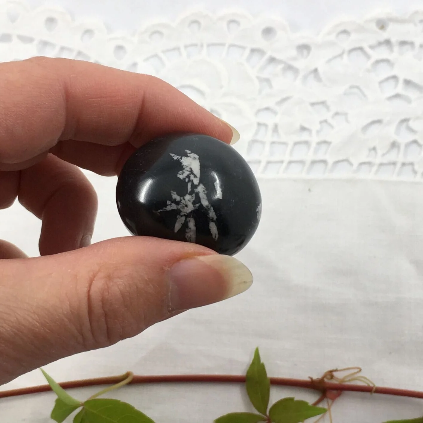 Chrysanthemum stone 3.JPG