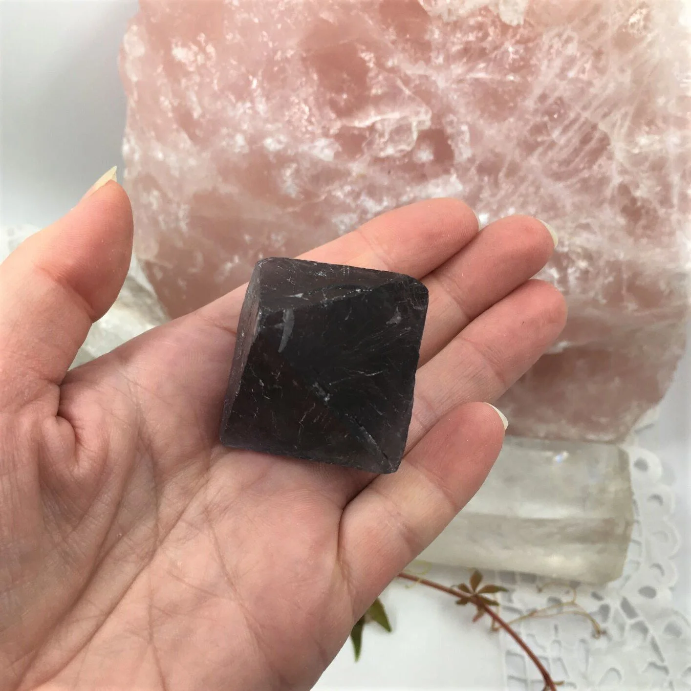 Purple Oct large 2.JPG