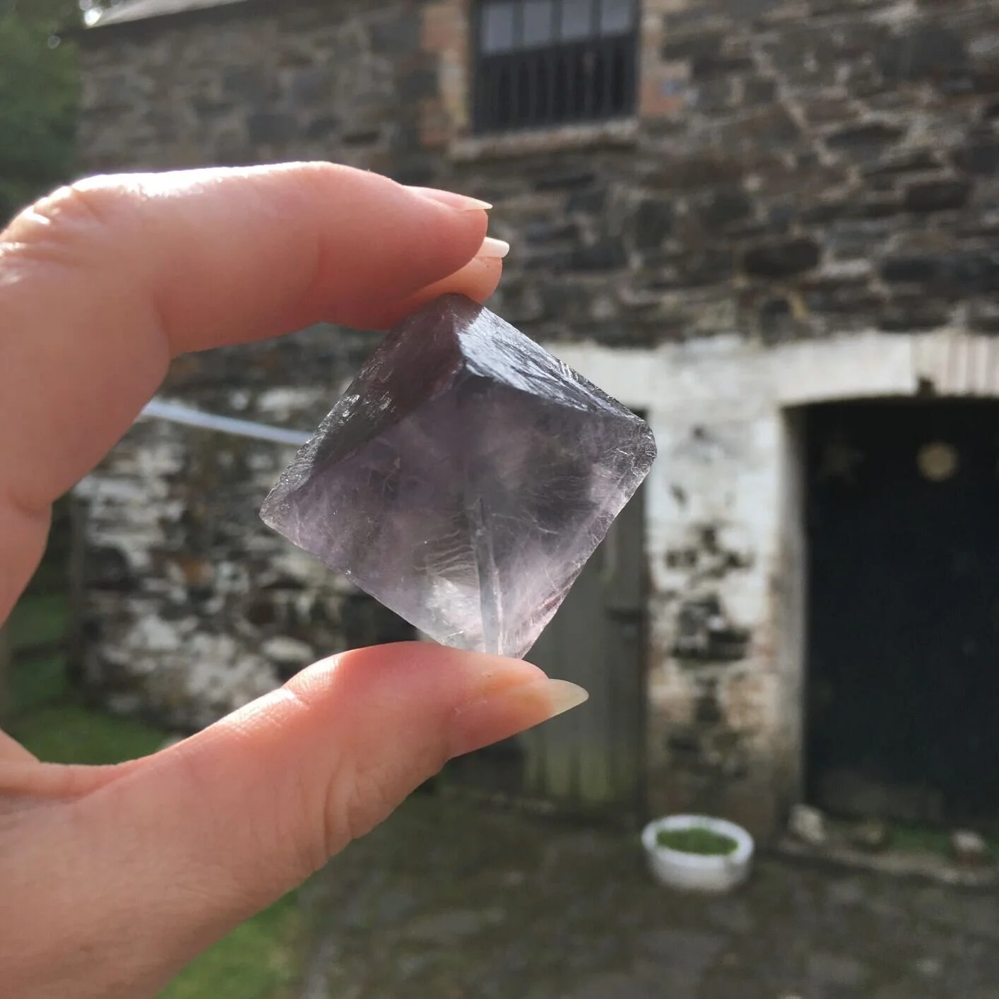 Purple Oct large 3.JPG