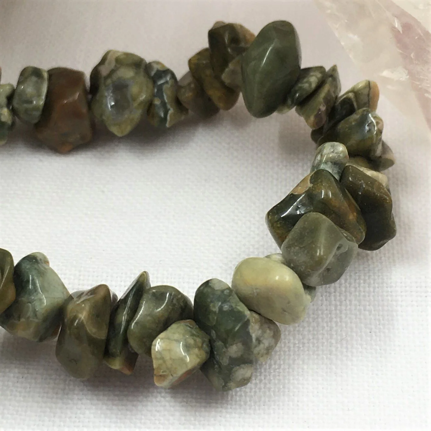 Jasper Rainforest 2.JPG