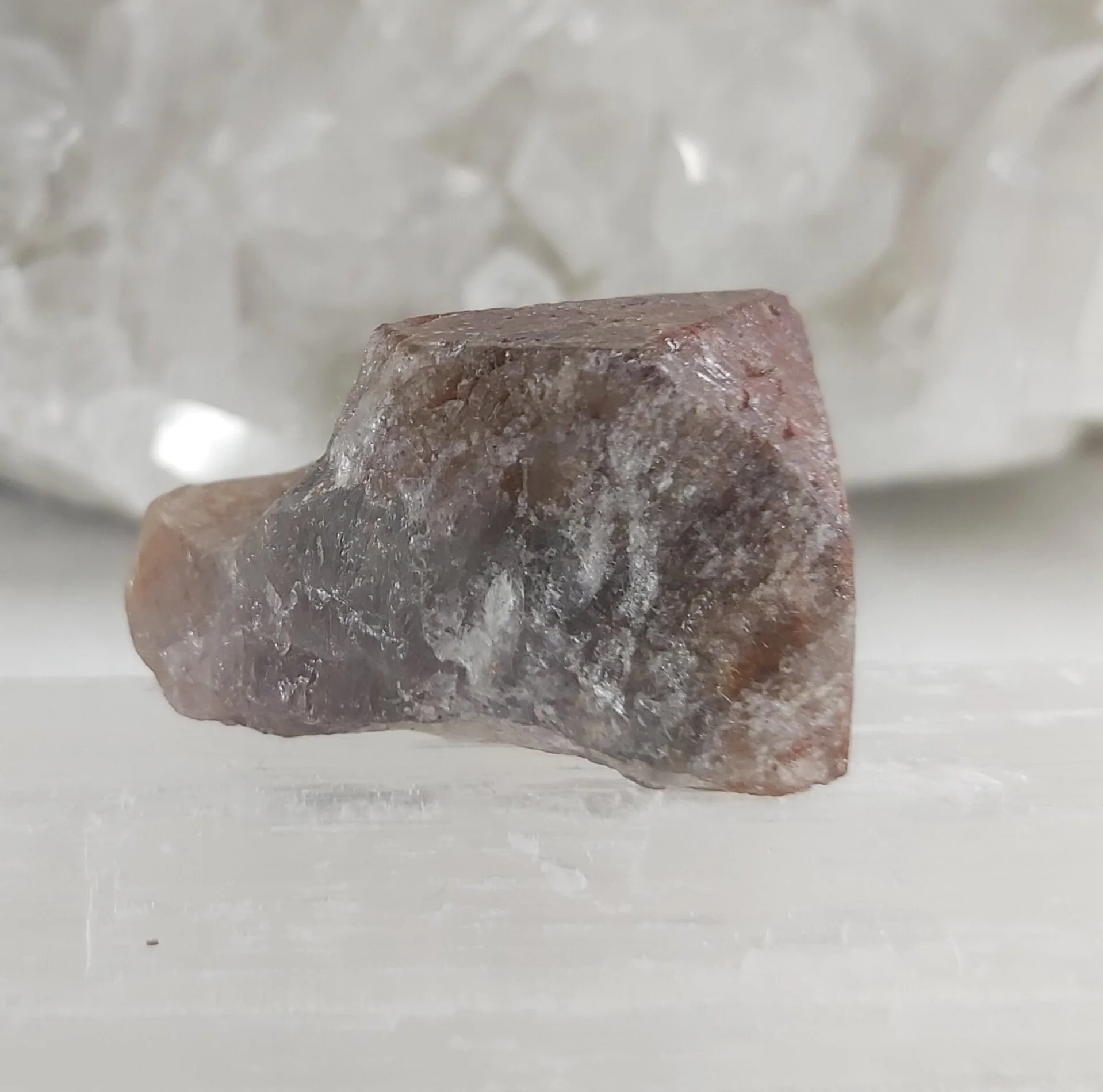 CBO 2020 August Amethyst red cap22.jpg