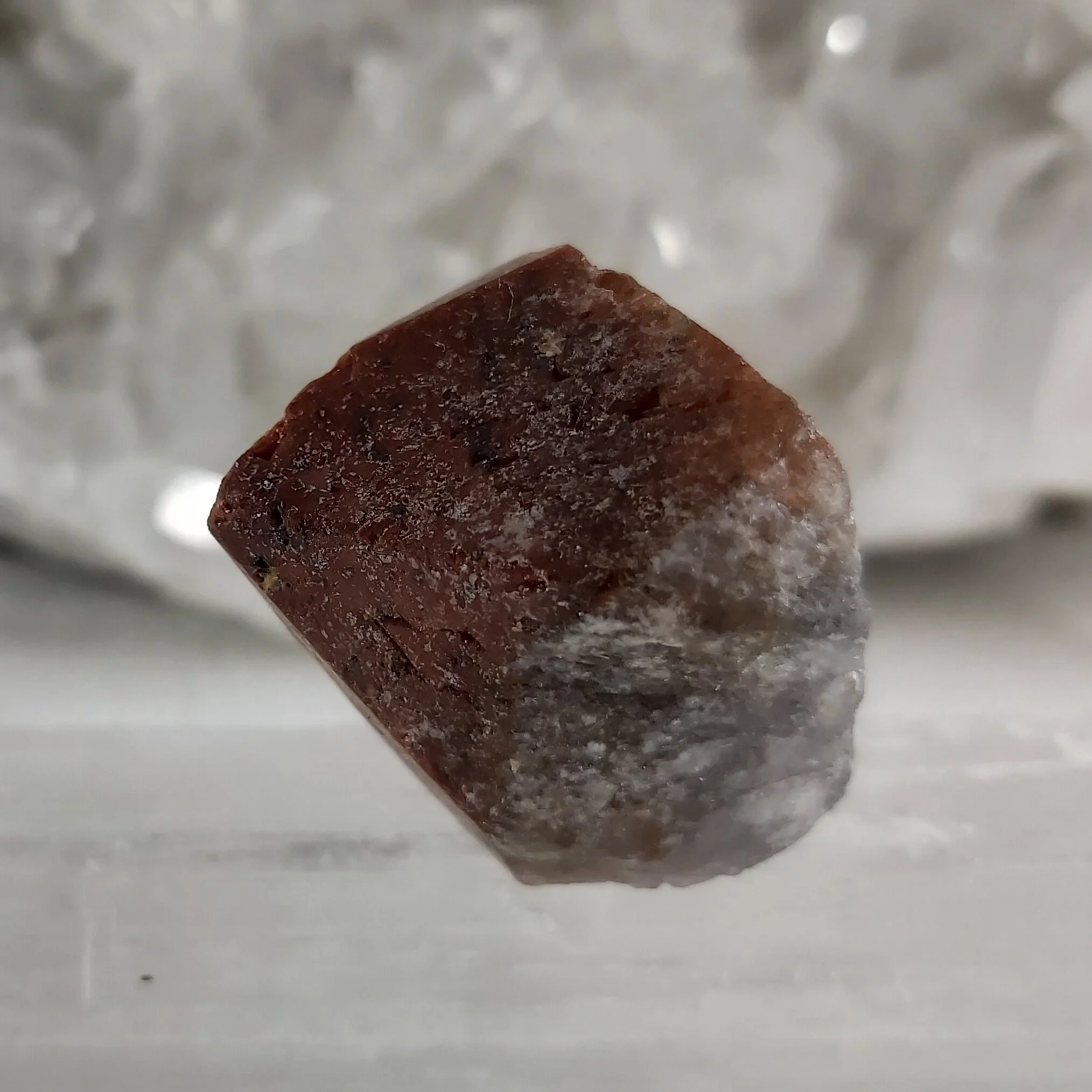 CBO 2020 August Amethyst red cap21.jpg