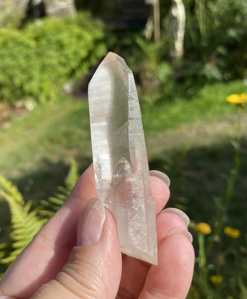 Lemurian6.JPG