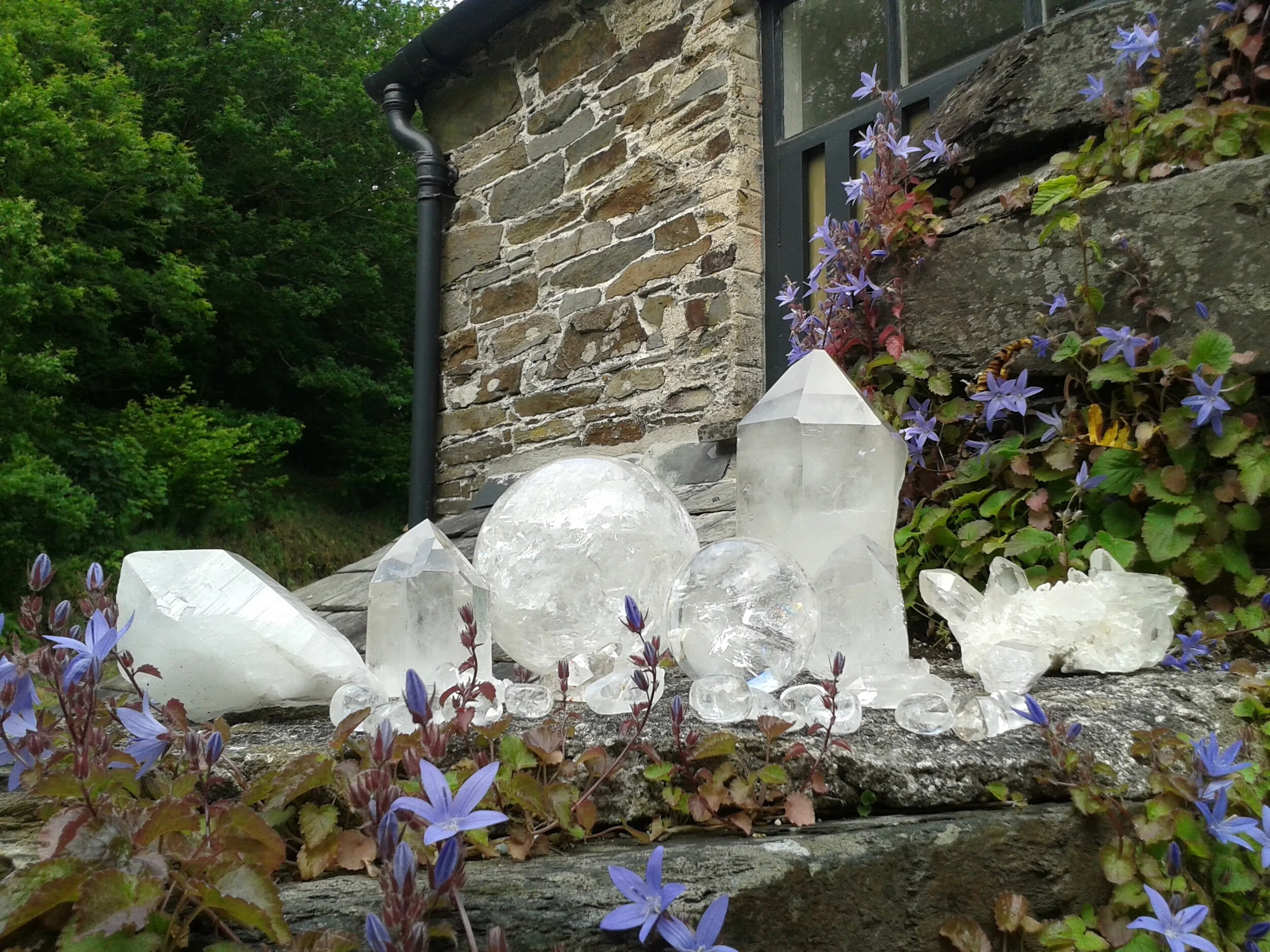 Crystal Barn Open Days