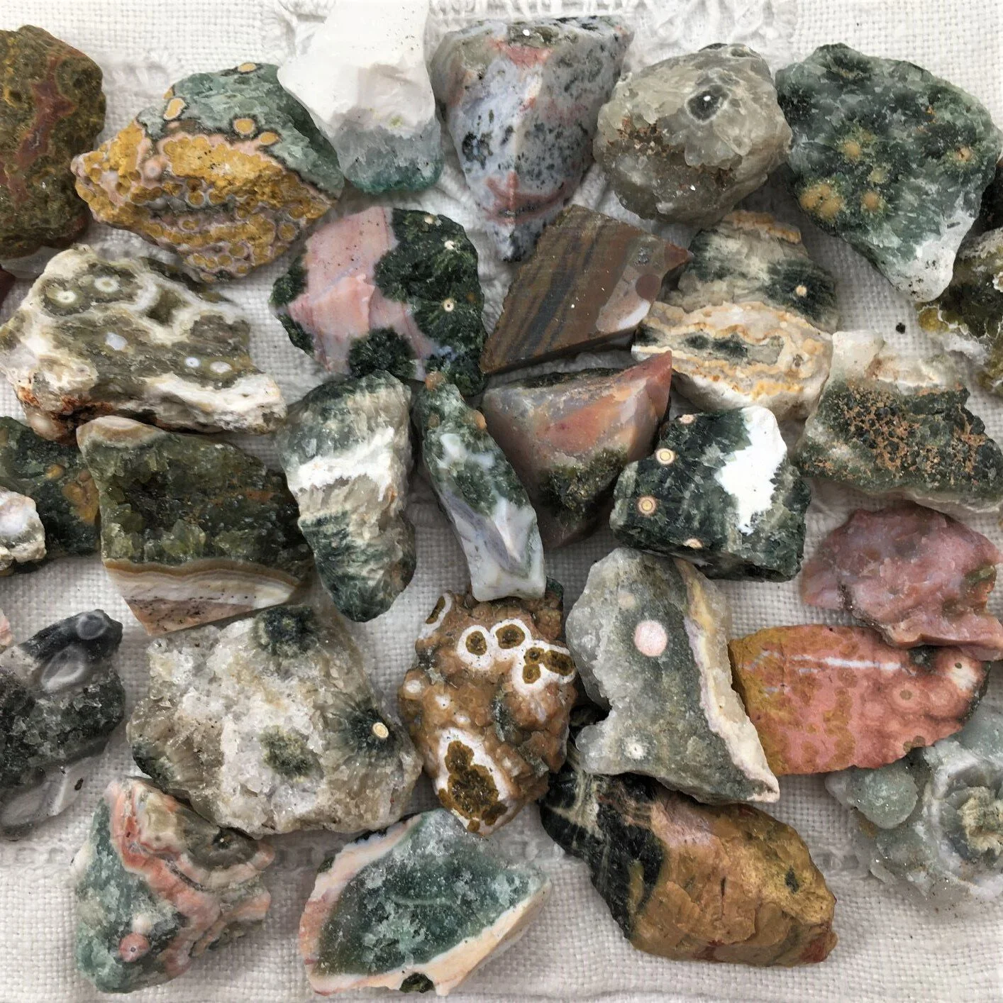 Jasper Ocean 3.JPG