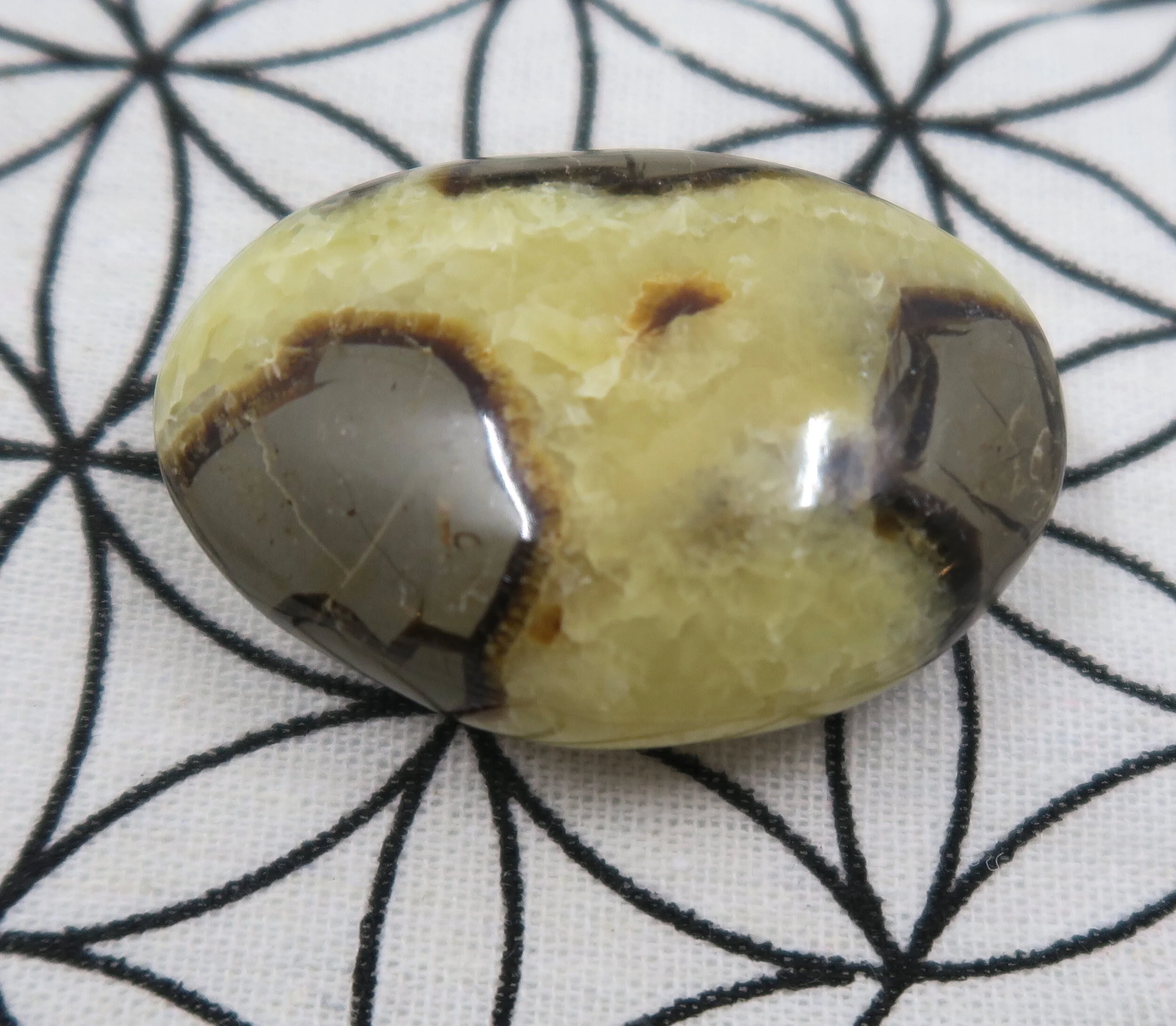 Webshop_Pebble_Septarian £9 21.JPG