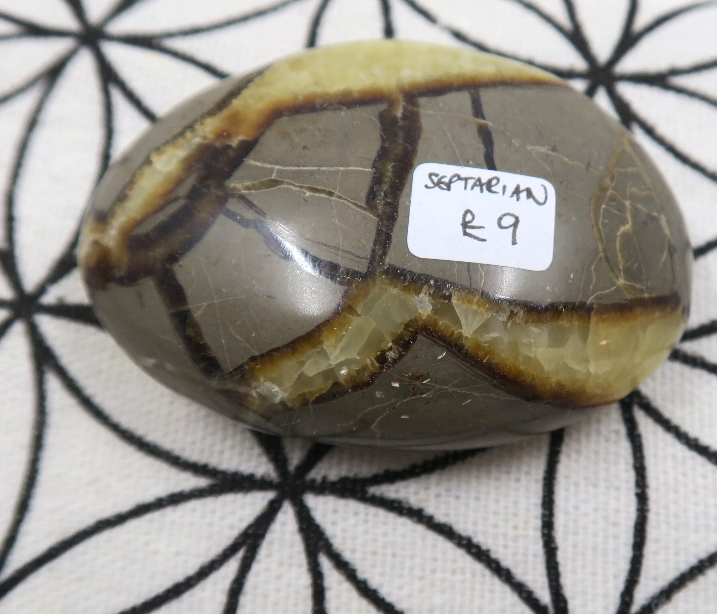Webshop_Pebble_Septarian £9 23.JPG