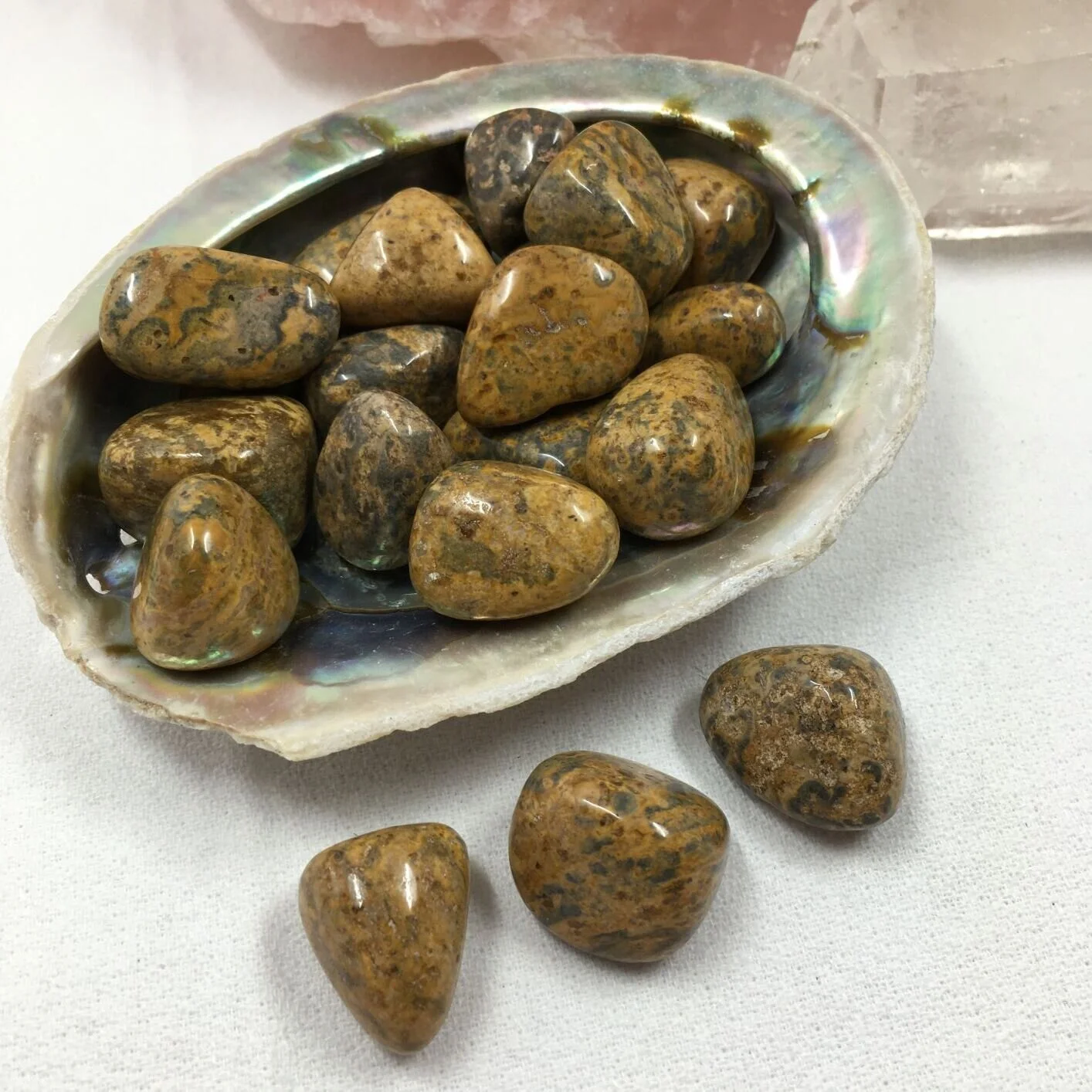 Leopardskin Jasper Tumblestones
