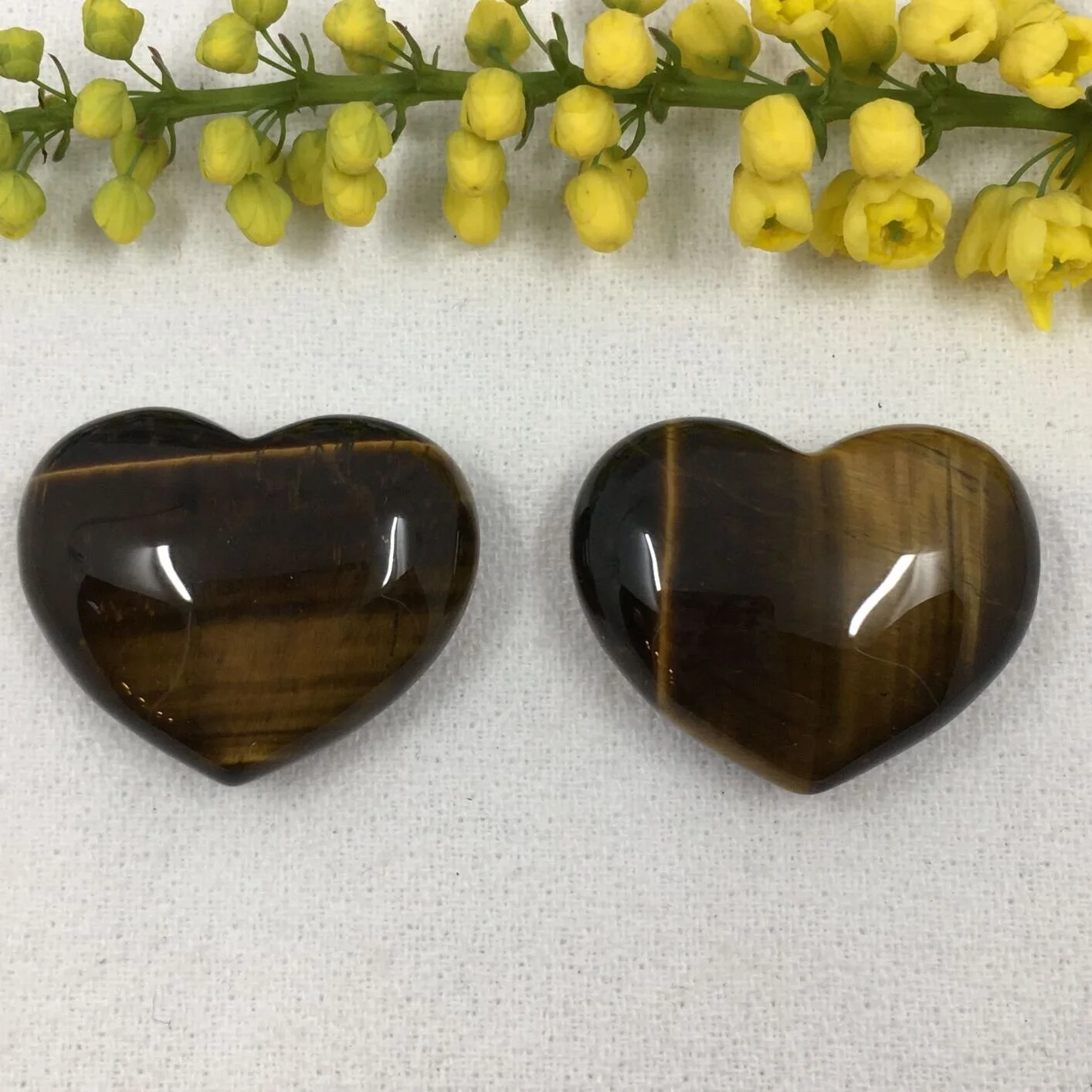 Tigers eye 30mm.JPG