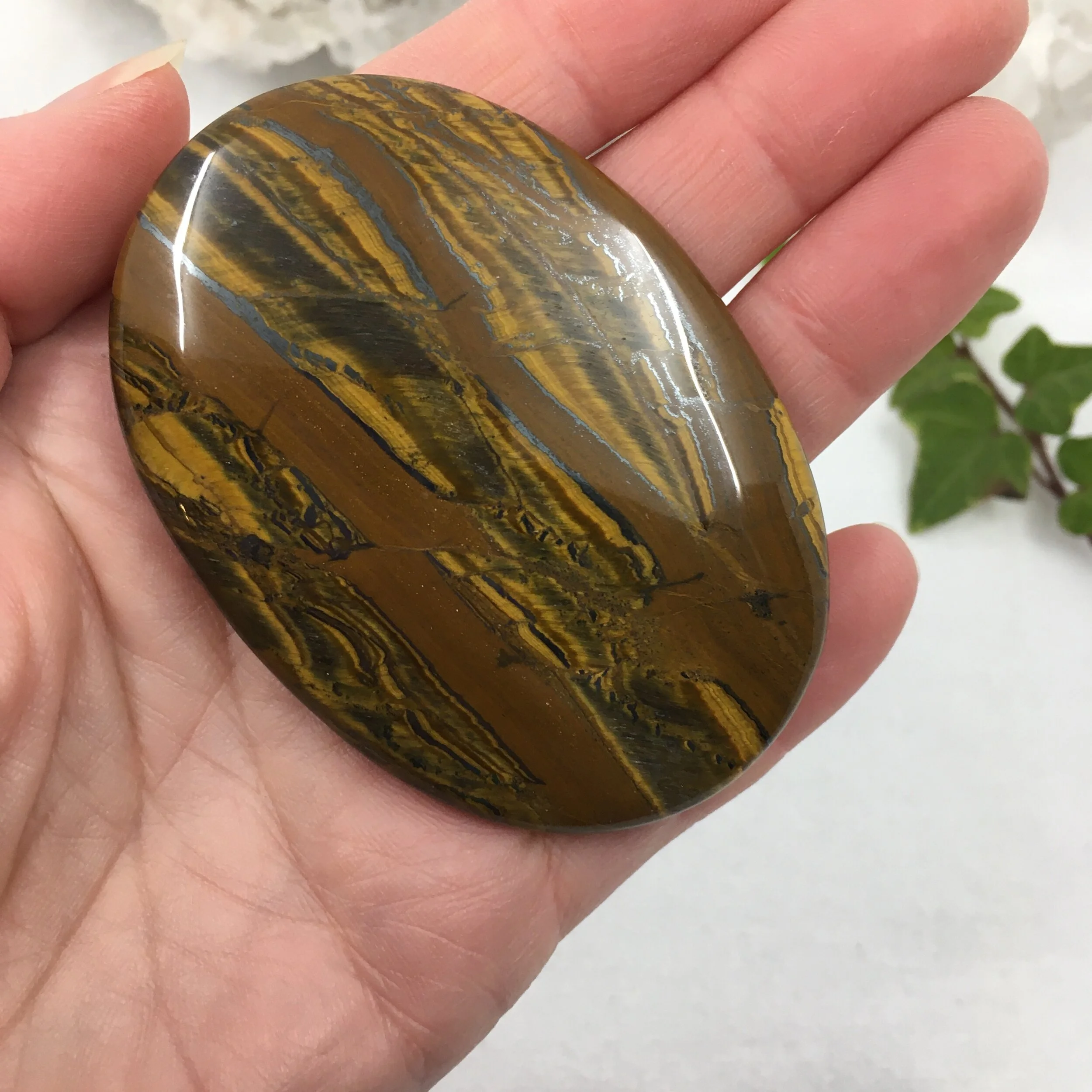 Tiger Jasper Palmstone *