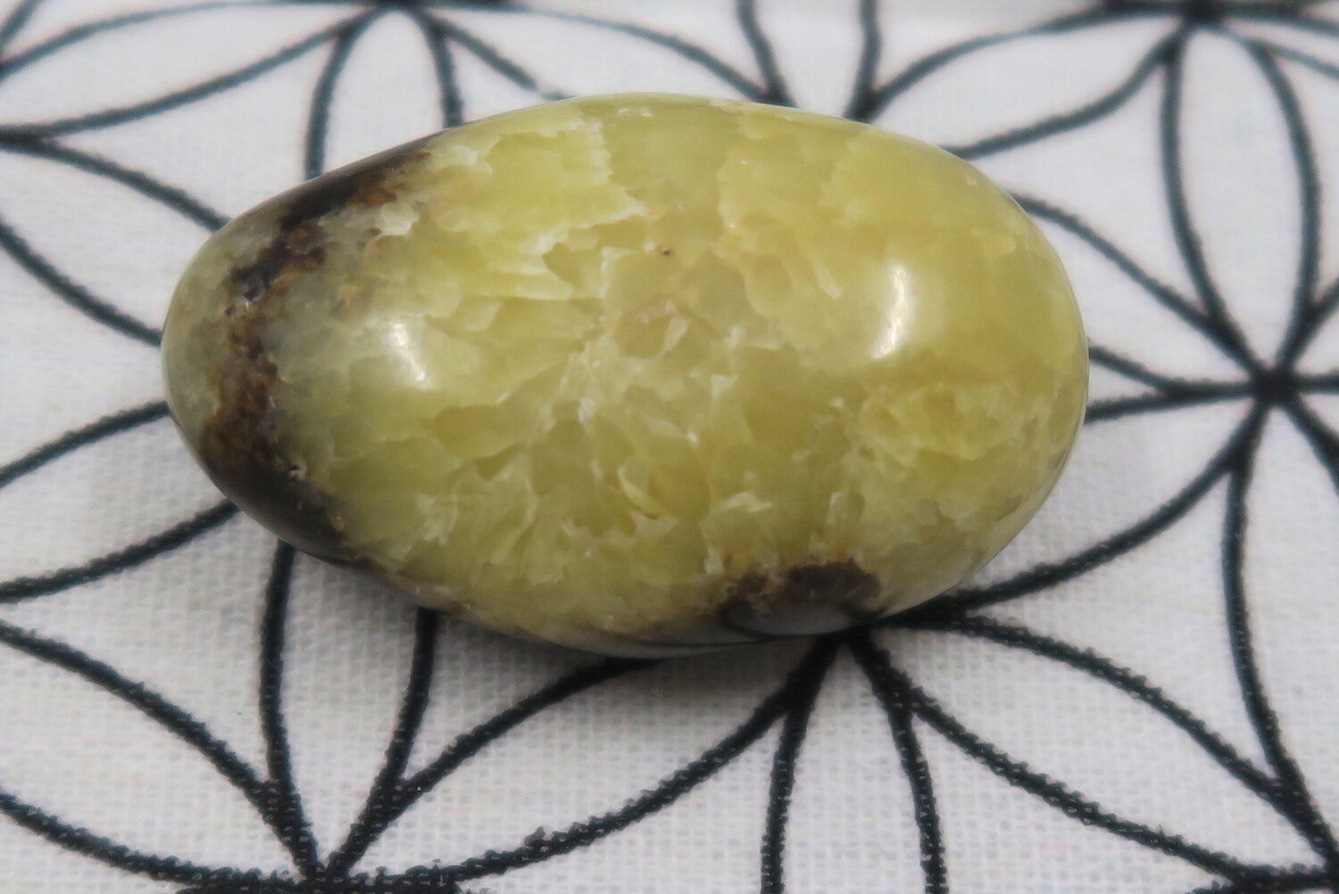 Webshop_Pebble_Septarian1.JPG