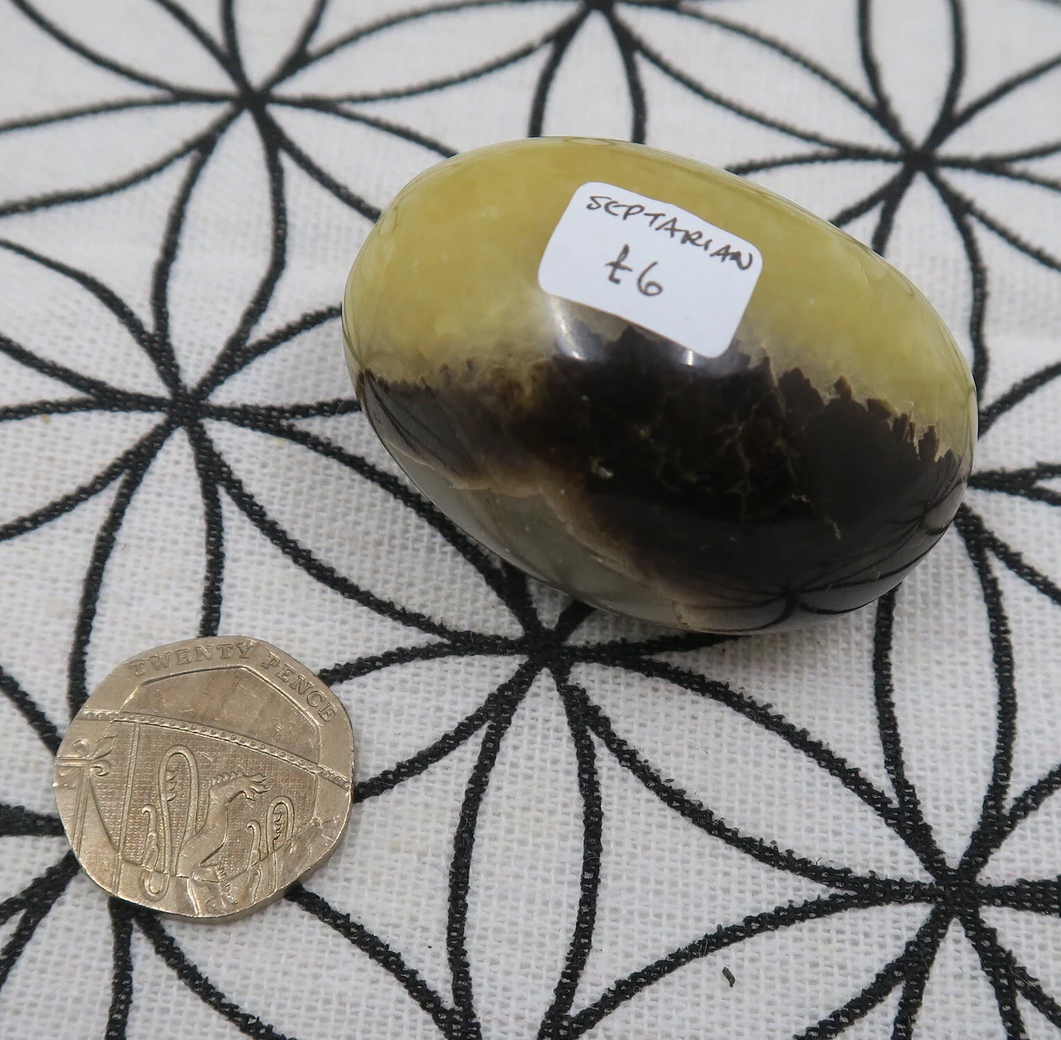 Webshop_Pebble_Septarian6.JPG