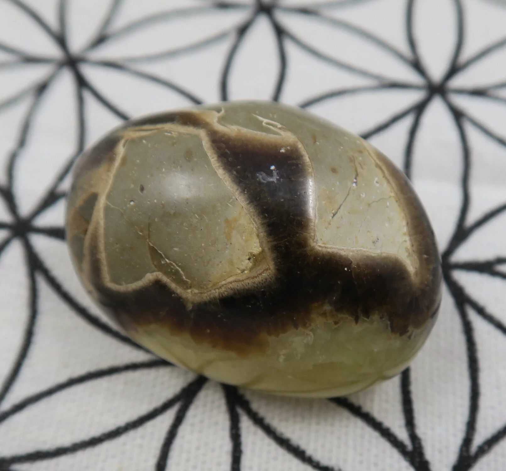 Webshop_Pebble_Septarian4.JPG