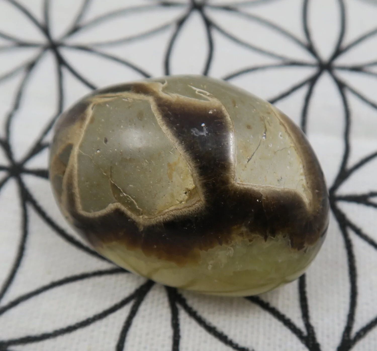 Septarian Pebble 6 *