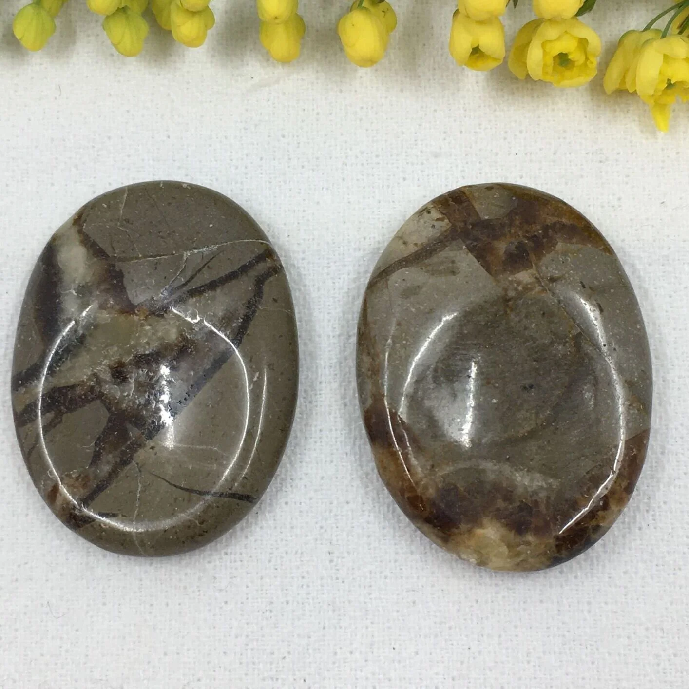 Septarian Thumbstone