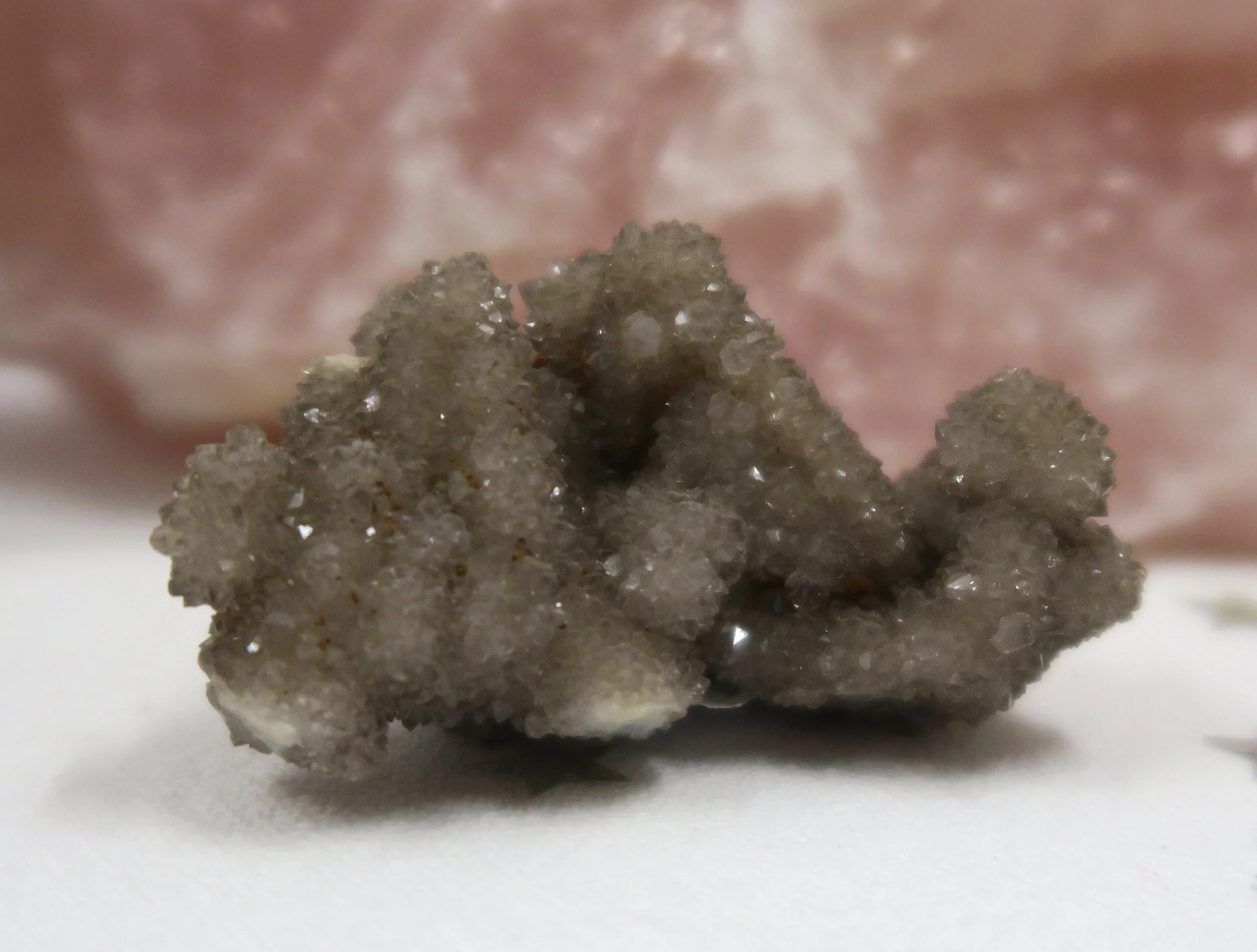 Quartz Spirit 125.JPG