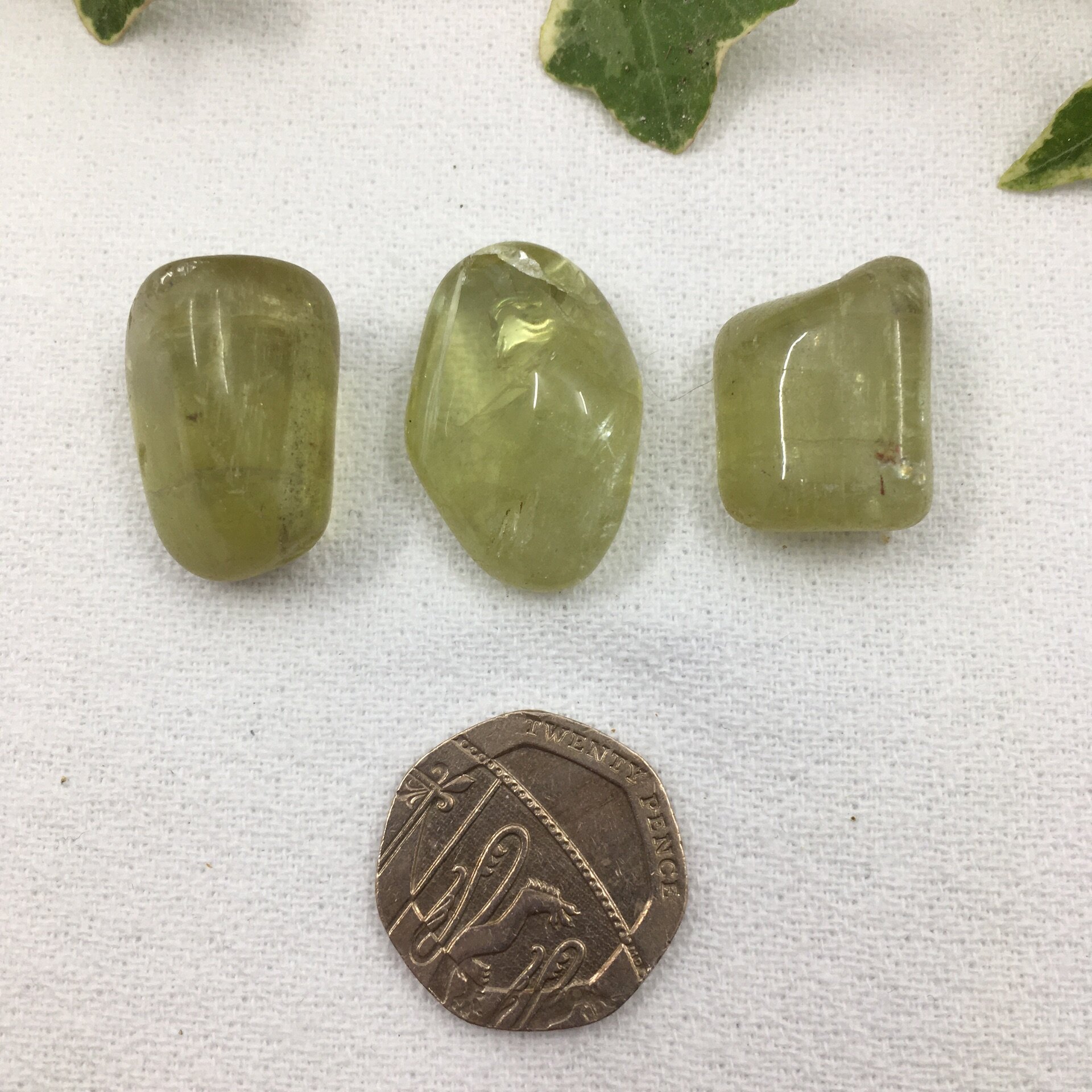 Apatite Green Gold 1.jpg