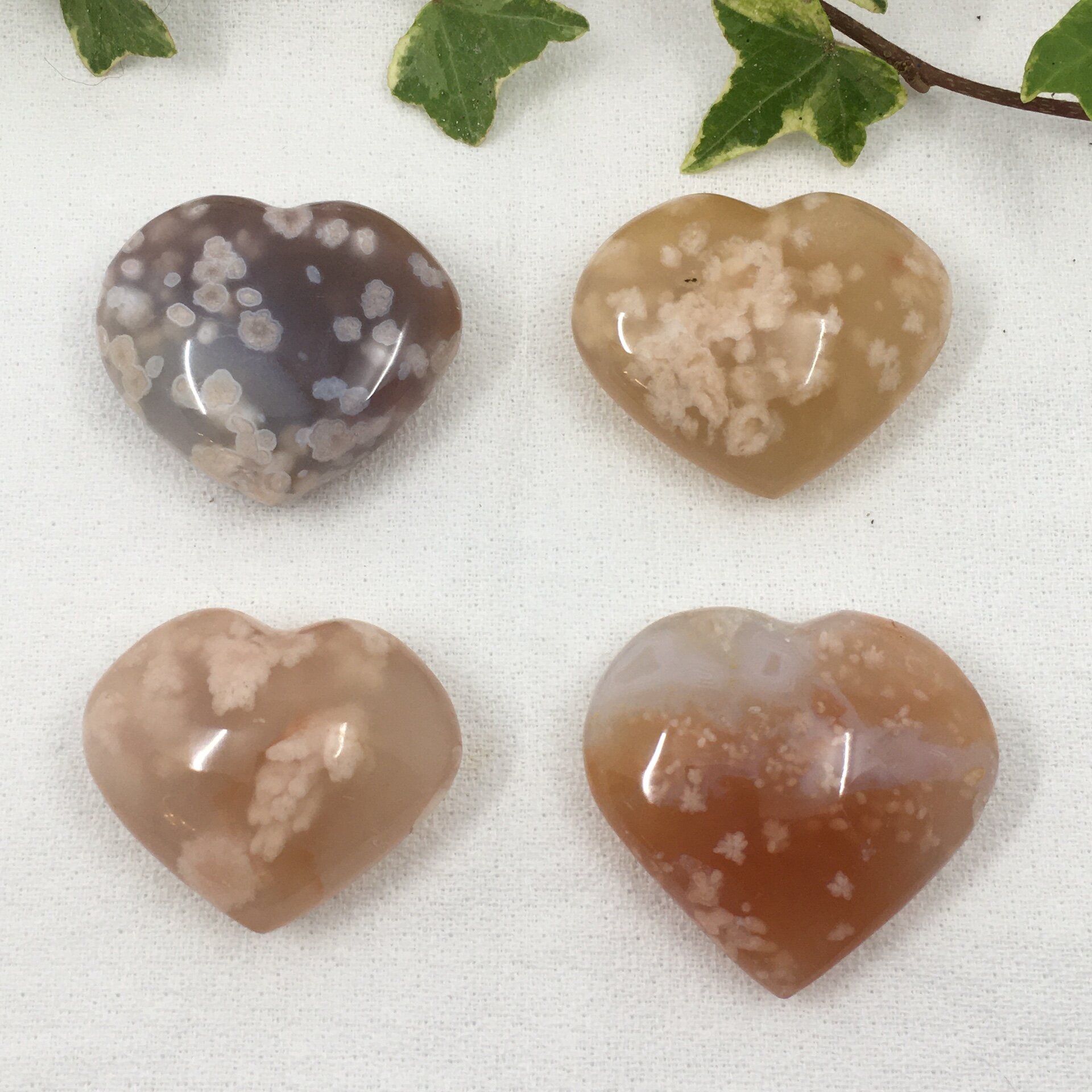 Flower Agate all.jpg