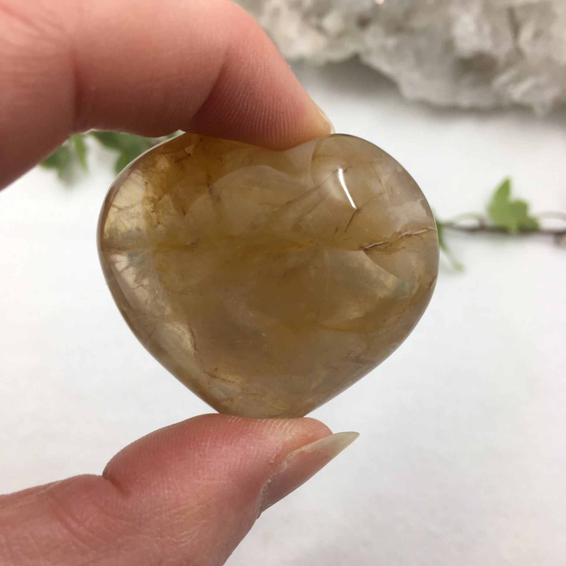 Golden Healer 3c.jpg