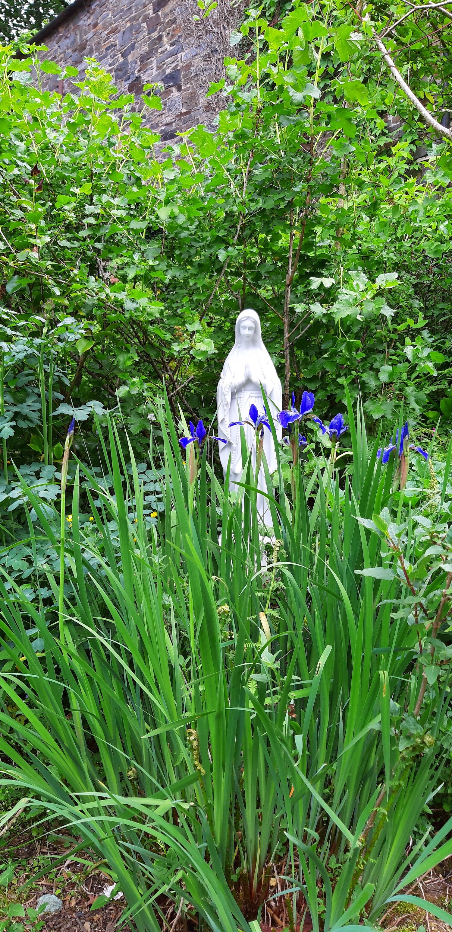 2020 5 Mother Mary3.jpg