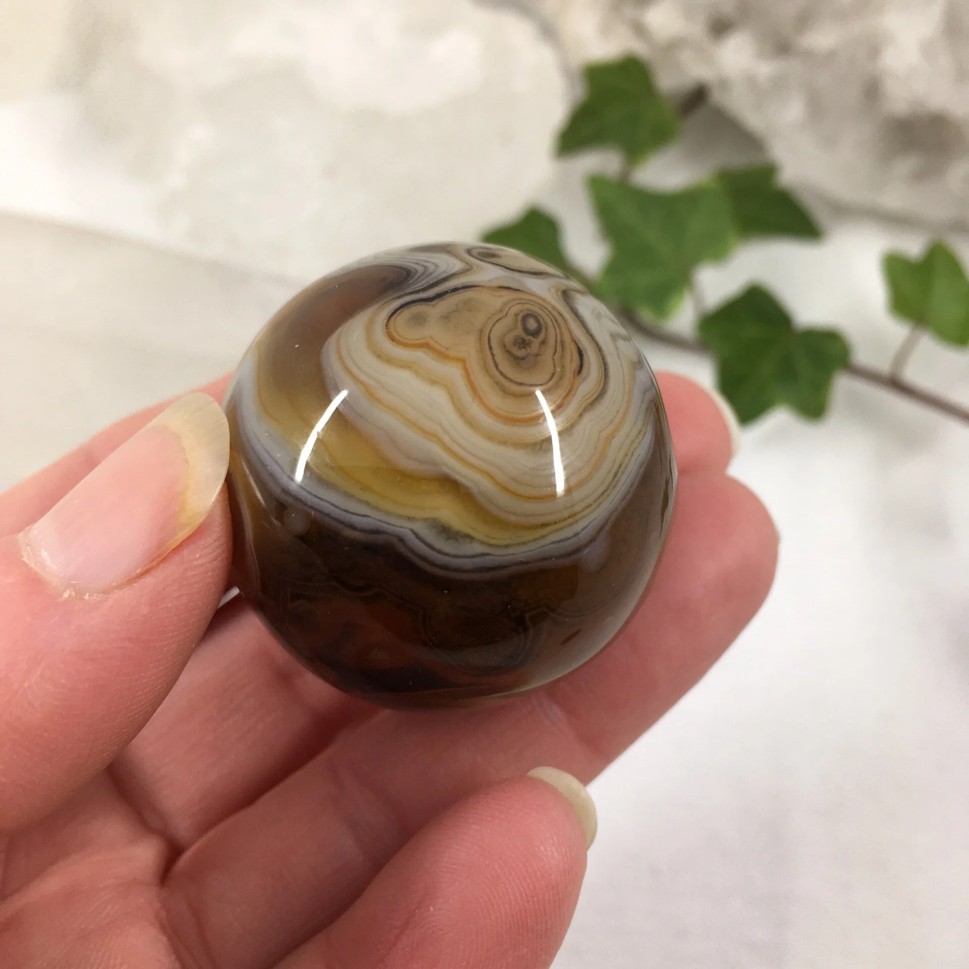 Banded Agate 1c.jpeg